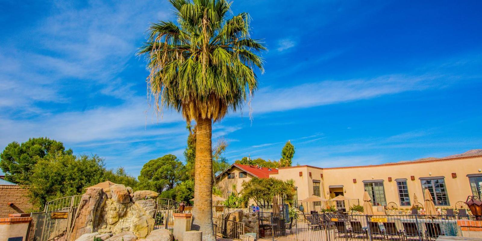 Tanque Verde Guest Ranch photo 13