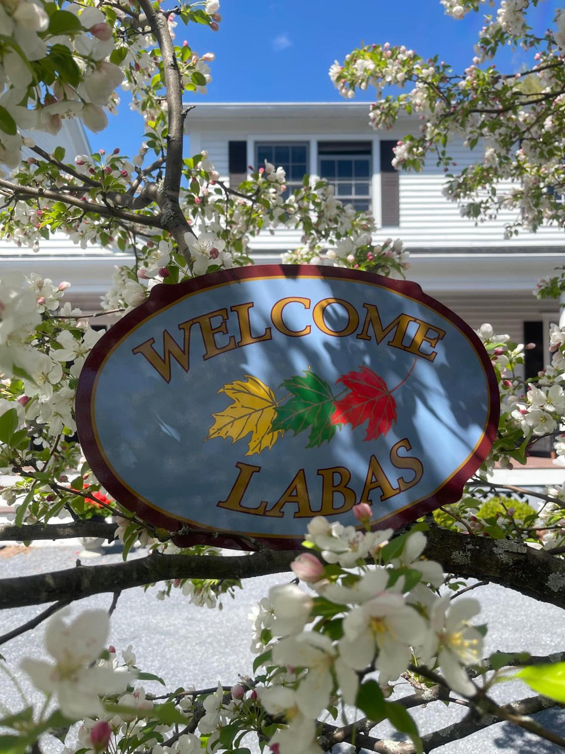 Williston Village Inn photo 10