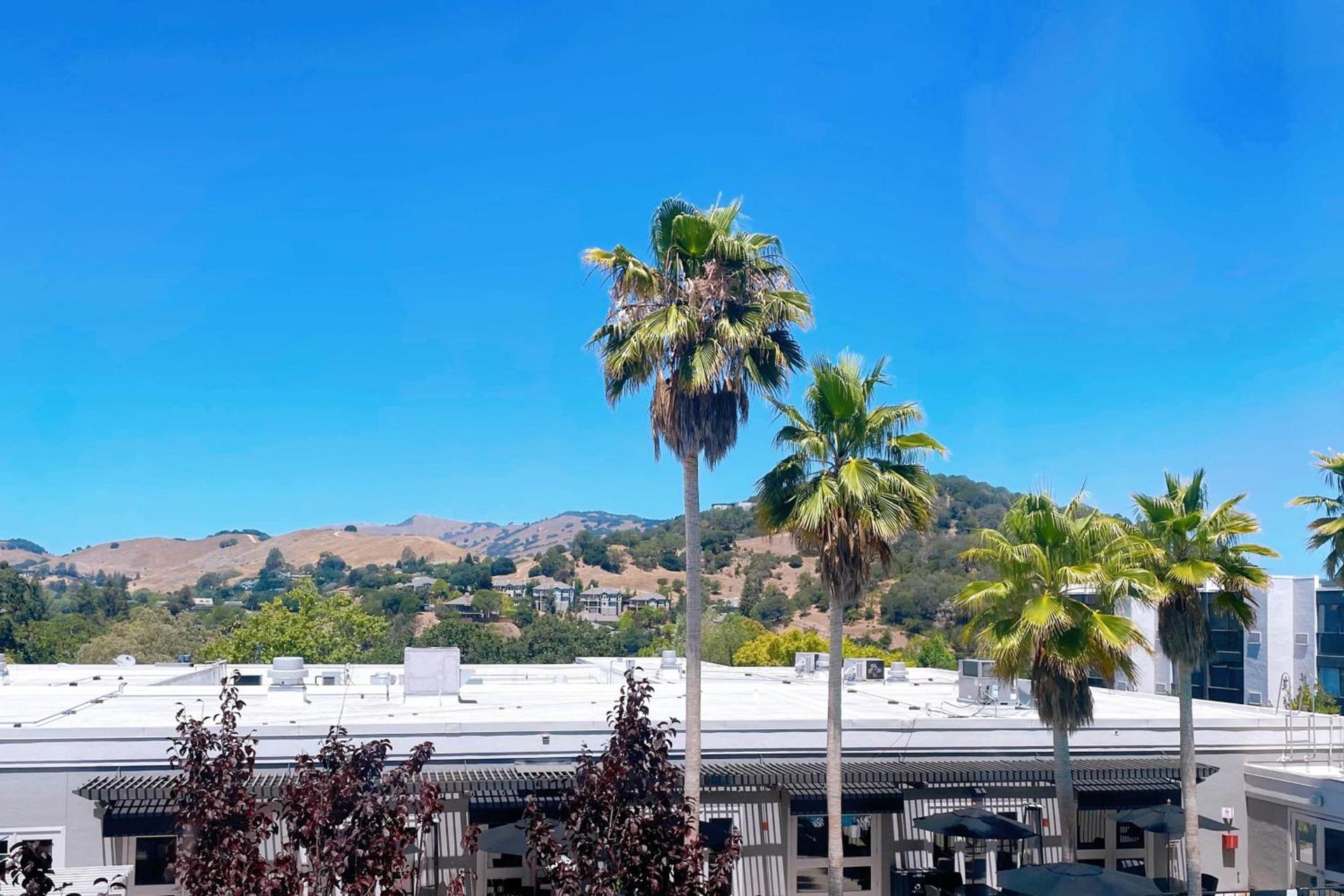 Marin Hilltop Hotel photo 24