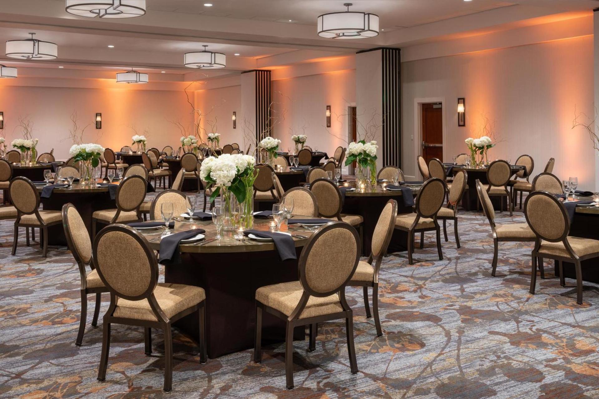 Sheraton Dallas Hotel by the Galleria photo 40