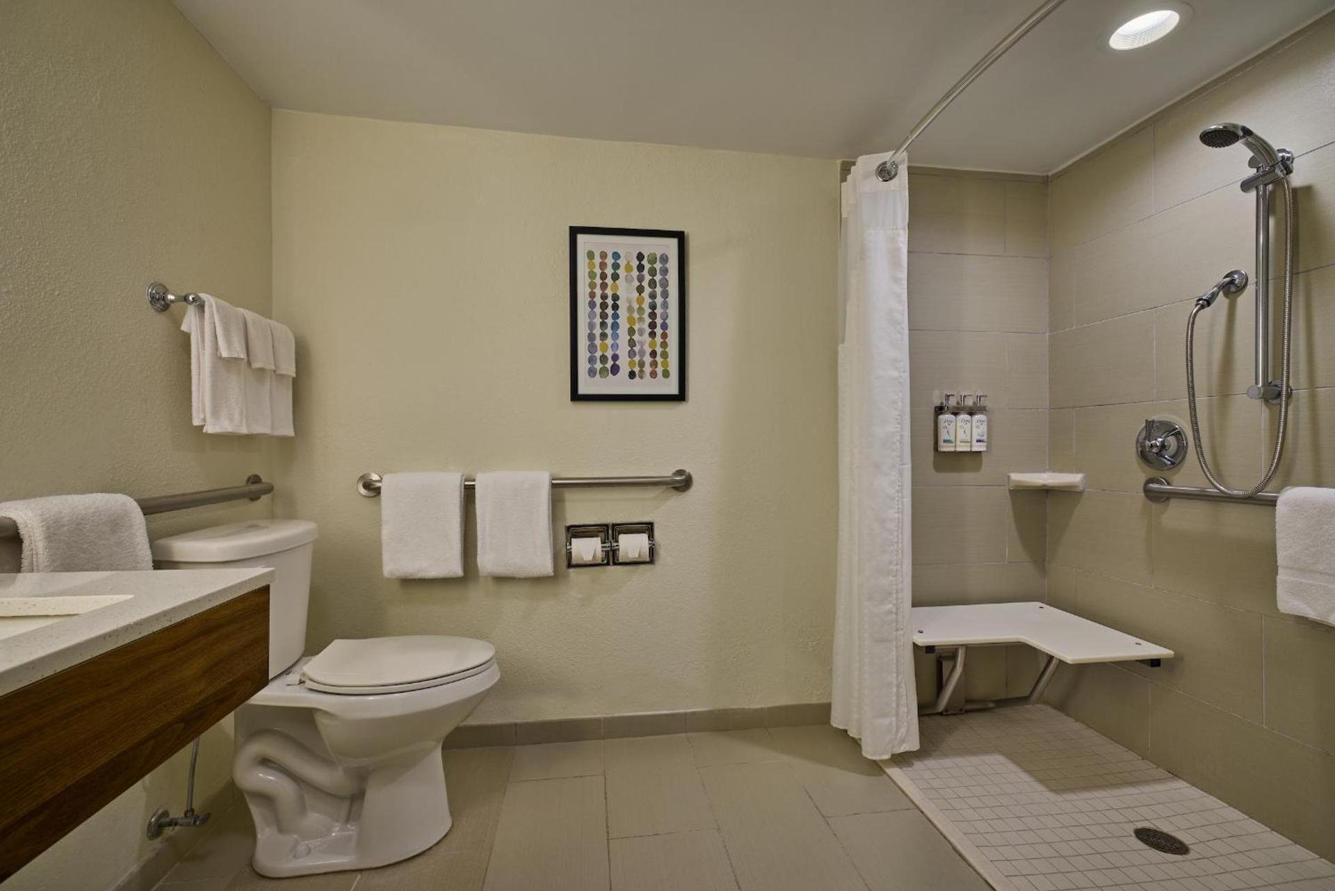 Holiday Inn Express & Suites Charleston DWTN - Medical CTR by IHG photo 6