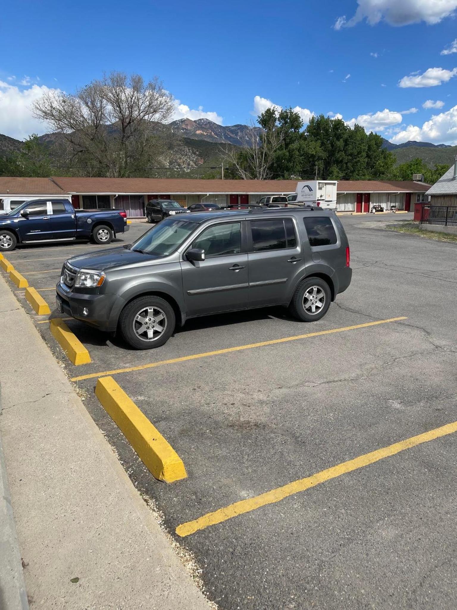 Safari Motel photo 12
