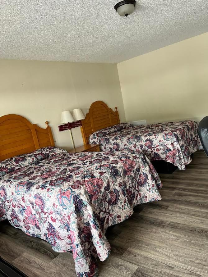 Yorktown Motor Lodge photo 6