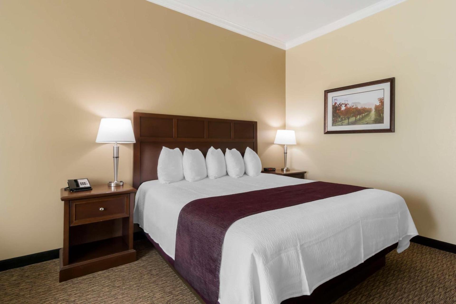 Best Western Plus Grapevine Inn photo 22