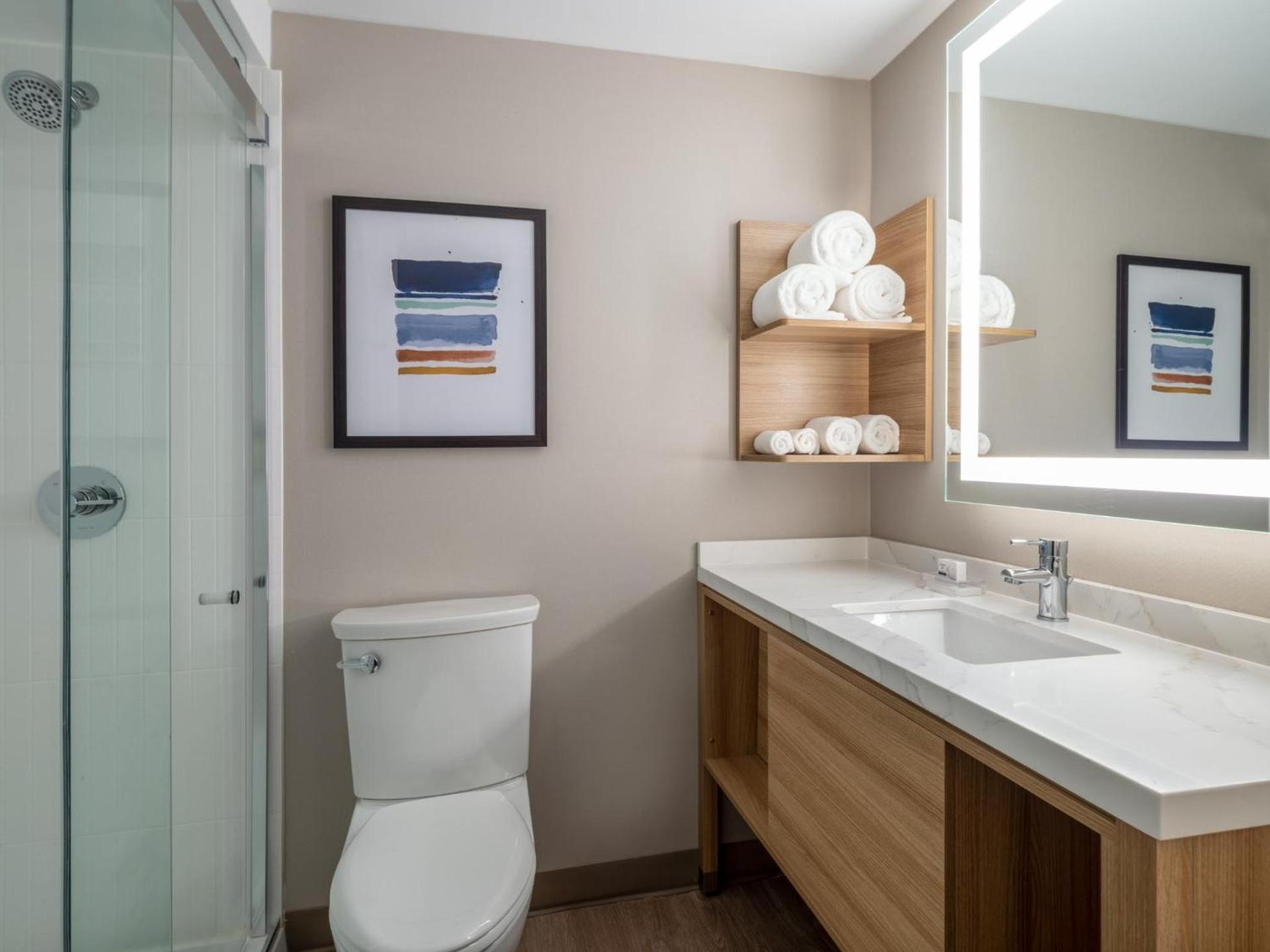 Staybridge Suites Chicago O'Hare - Rosemont by IHG photo 53