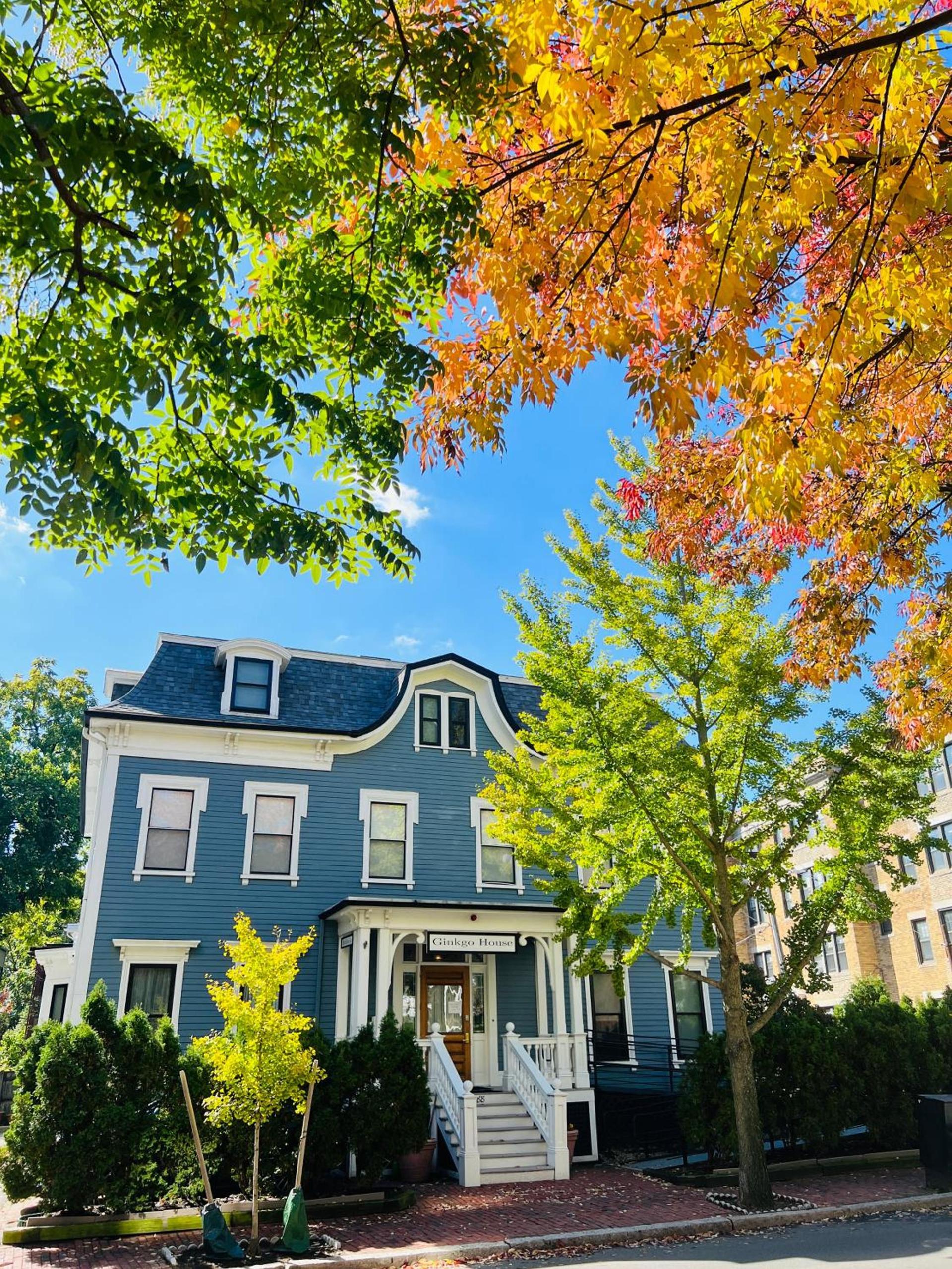 Ginkgo House on Harvard photo 1