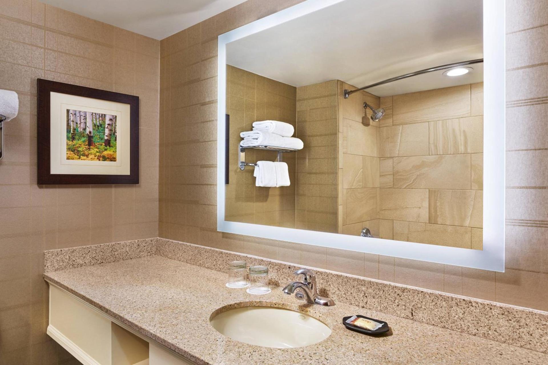Sheraton Denver West Hotel photo 9