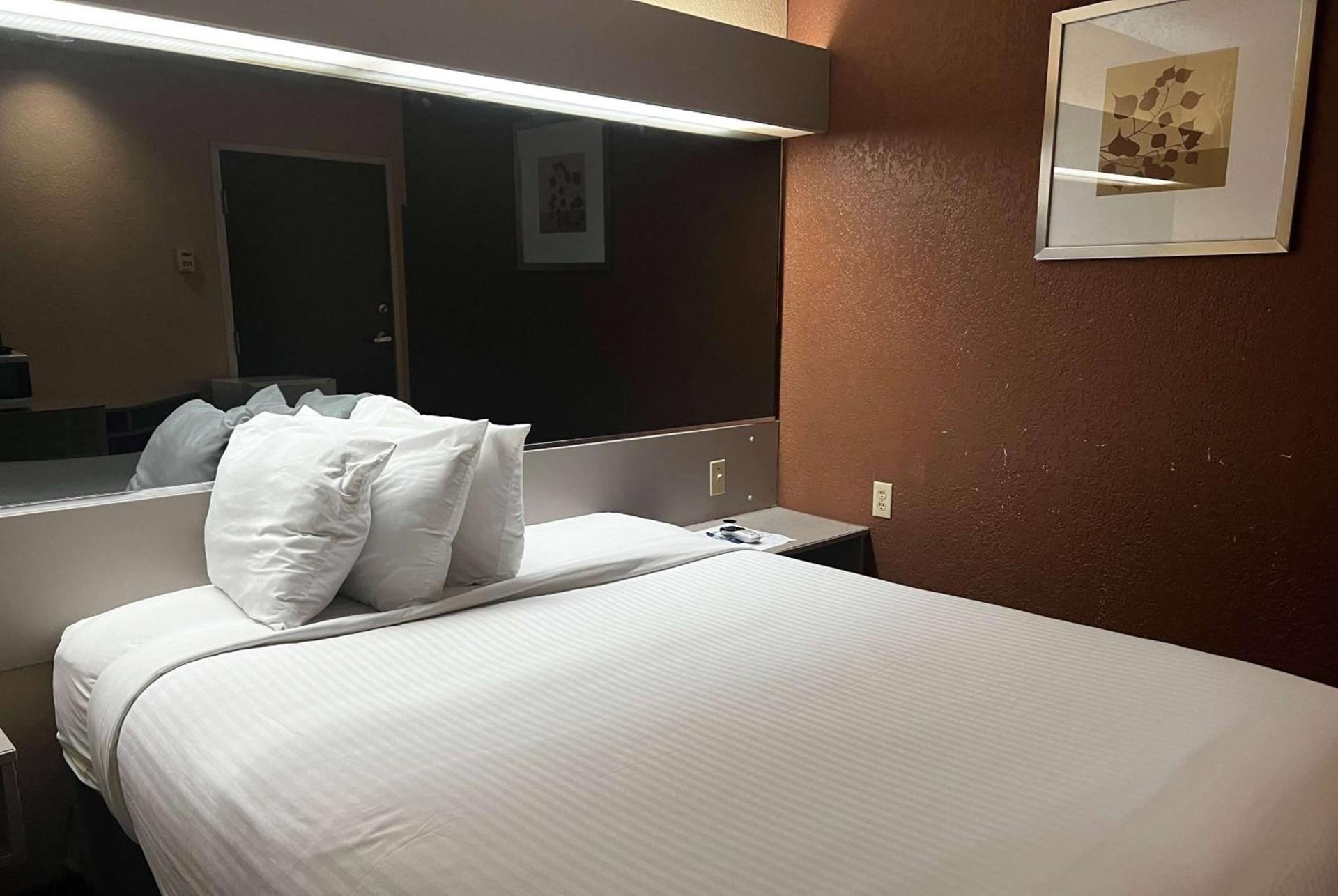 Microtel Inn & Suites by Wyndham Houston/Webster/Nasa/Clearlake photo 6
