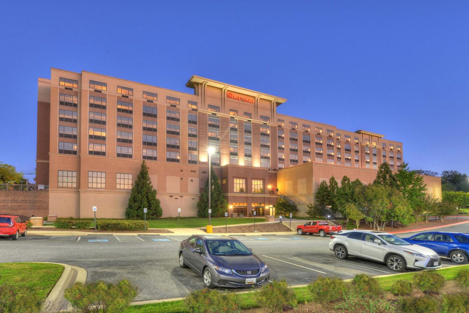 Sheraton Baltimore Washington Airport - BWI photo 11