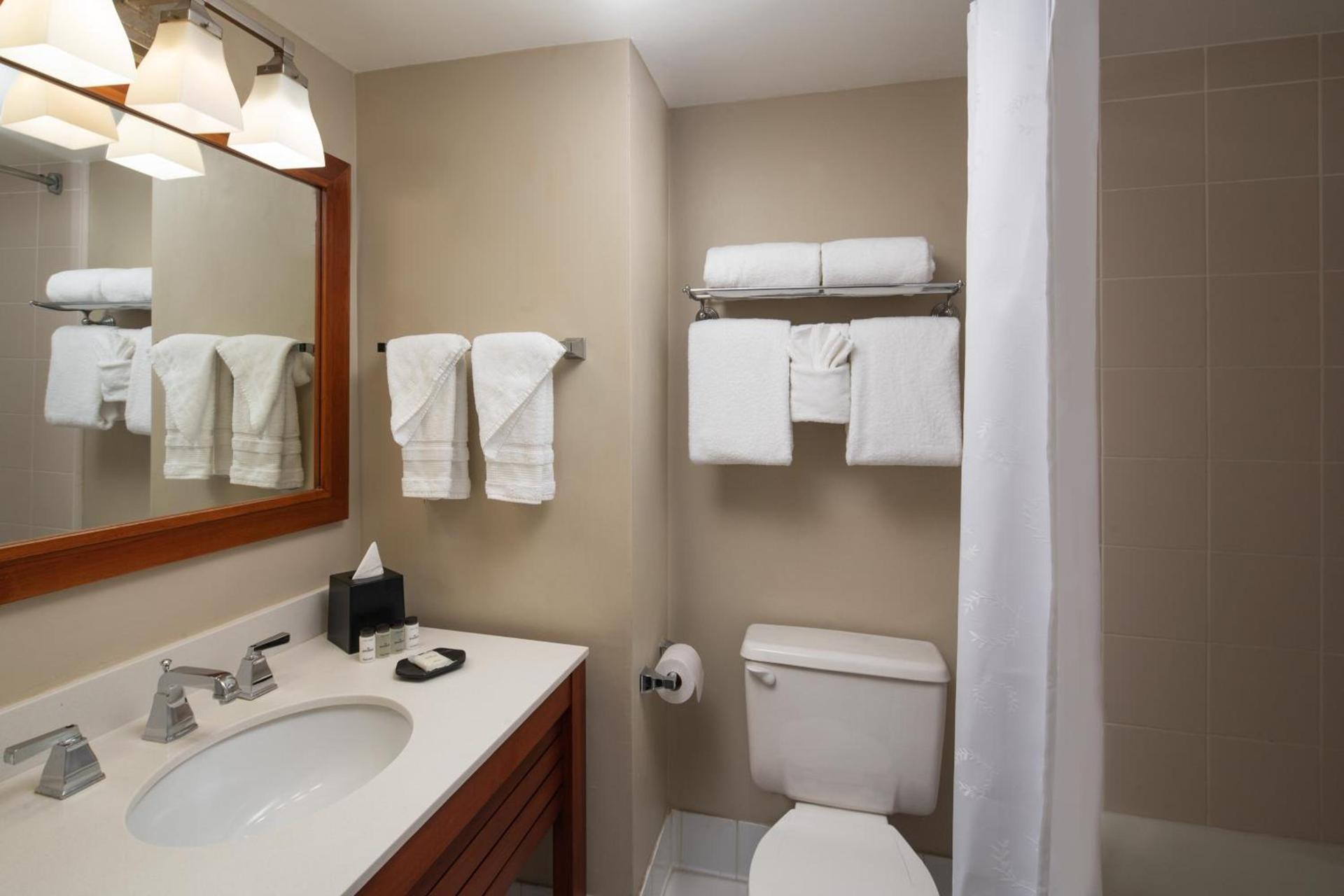 Sheraton Suites Fort Lauderdale at Cypress Creek photo 16