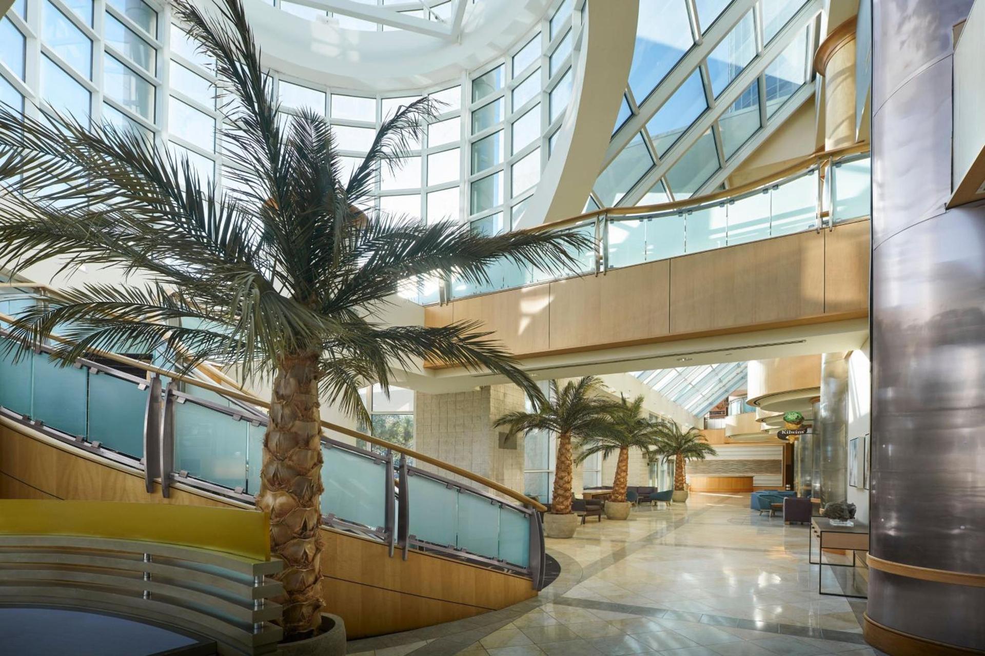 Sheraton Myrtle Beach photo 7