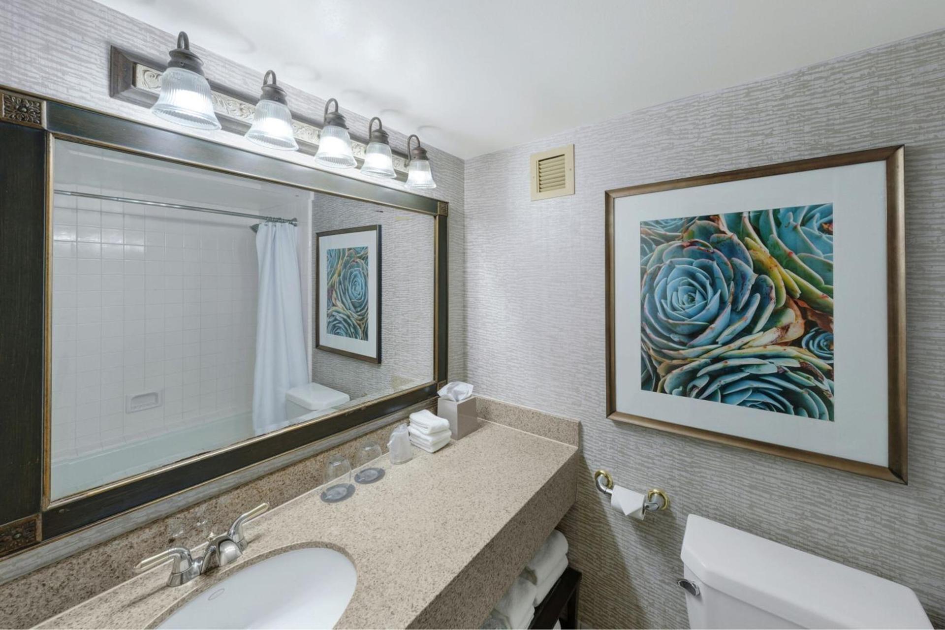 The Westin San Antonio North photo 13