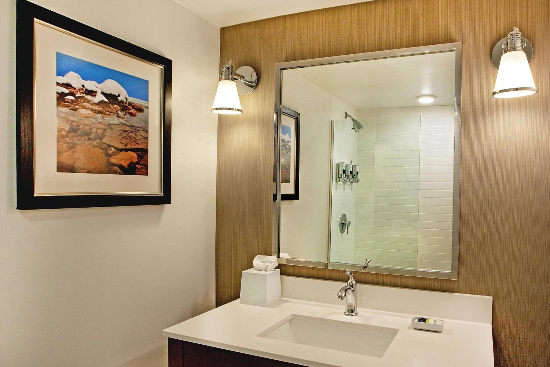 Four Points By Sheraton - Saginaw photo 13