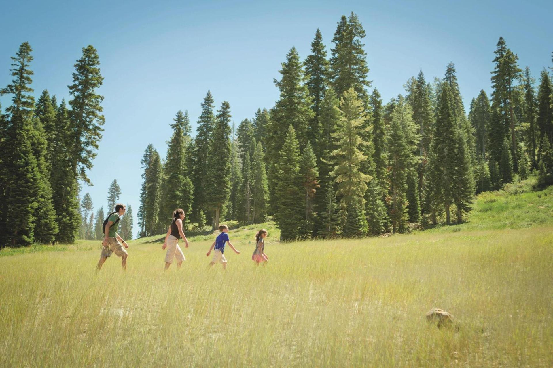 The Ritz-Carlton, Lake Tahoe photo 93