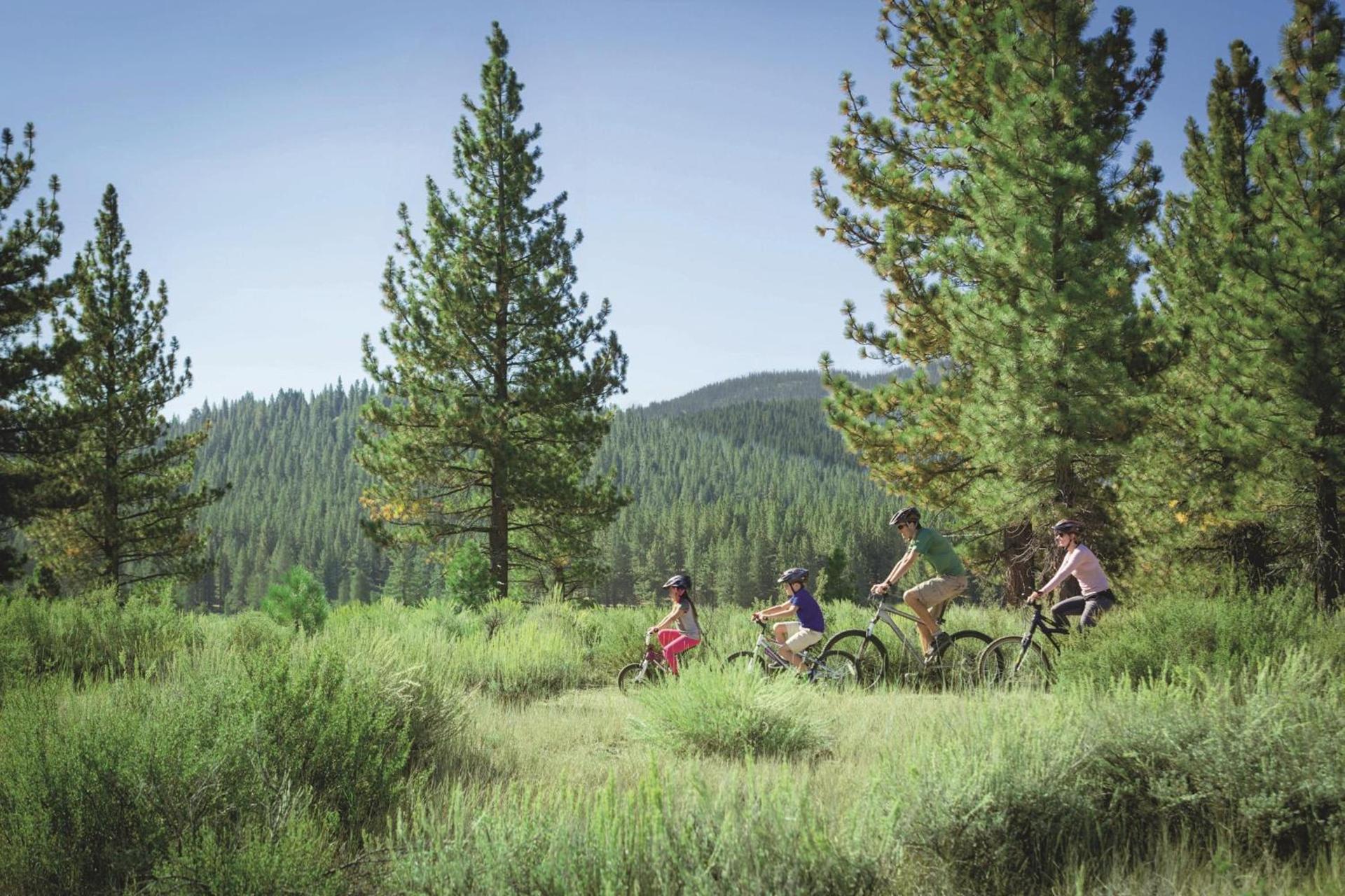 The Ritz-Carlton, Lake Tahoe photo 91