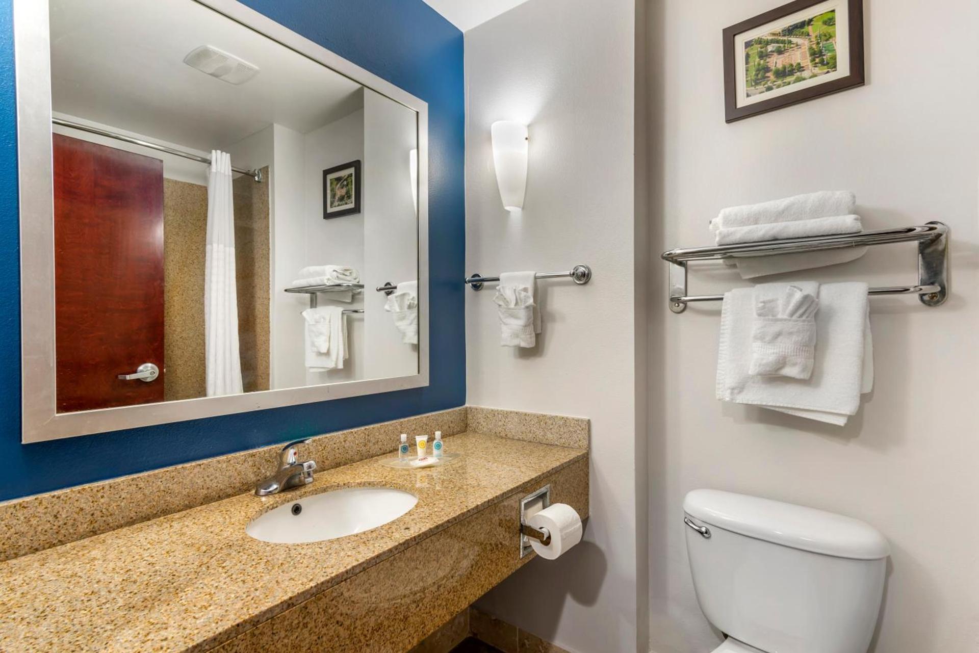 Comfort Suites Atlanta Airport photo 55