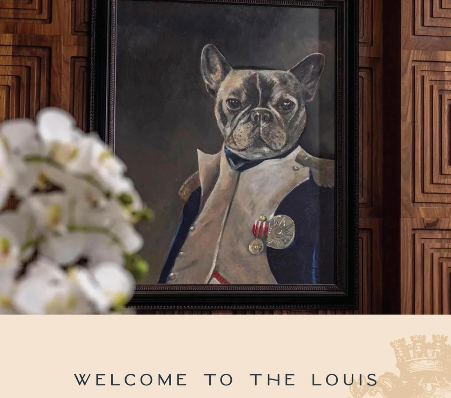 The Louis Hotel photo 4