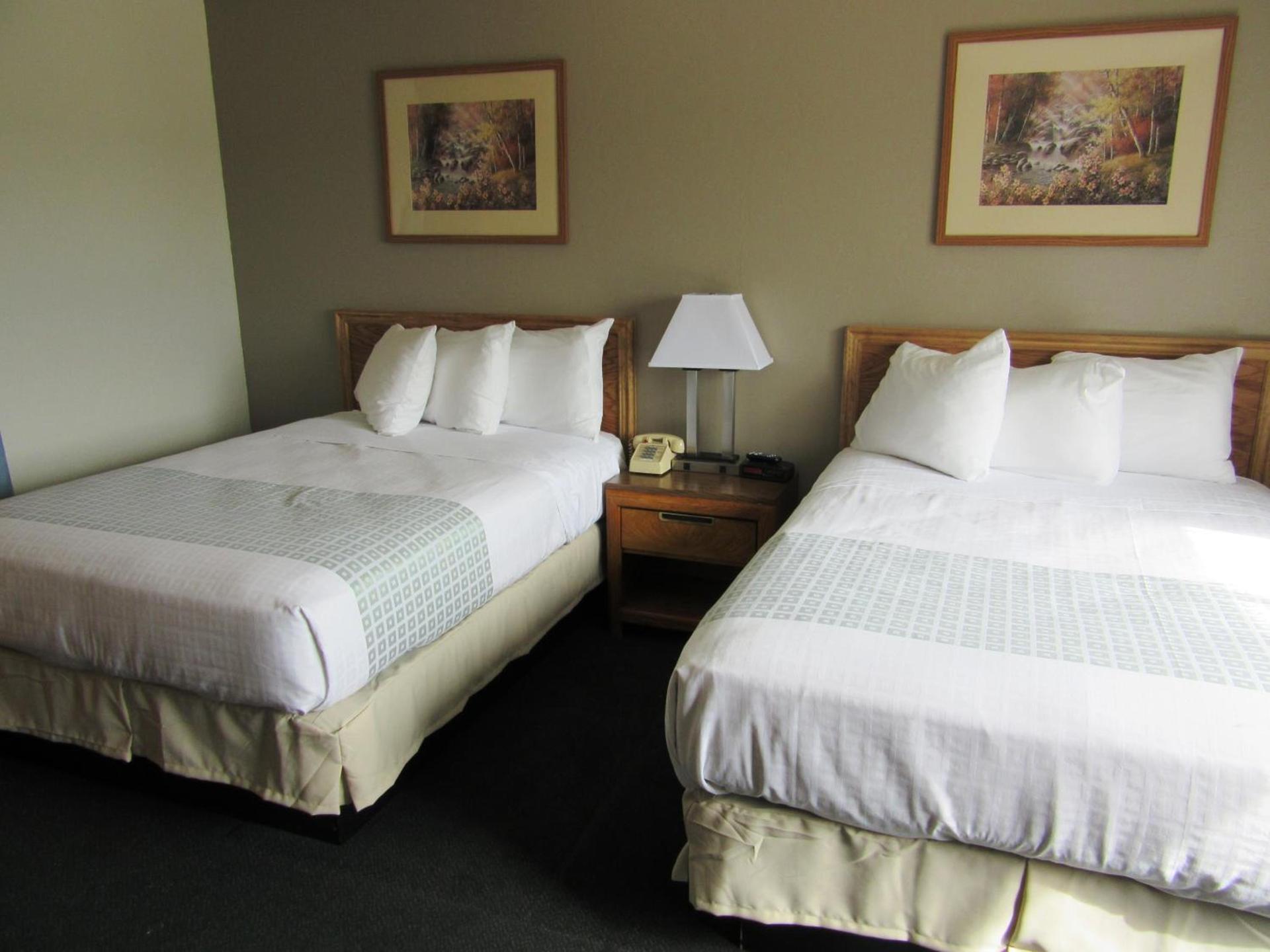 White Buffalo Hotel photo 12