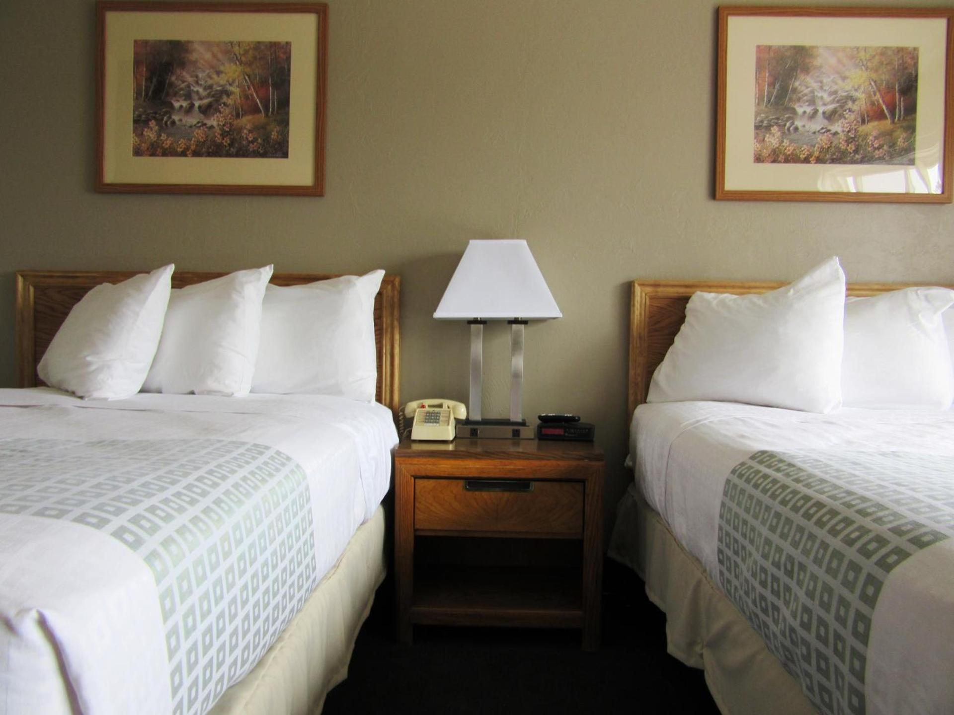 White Buffalo Hotel photo 15