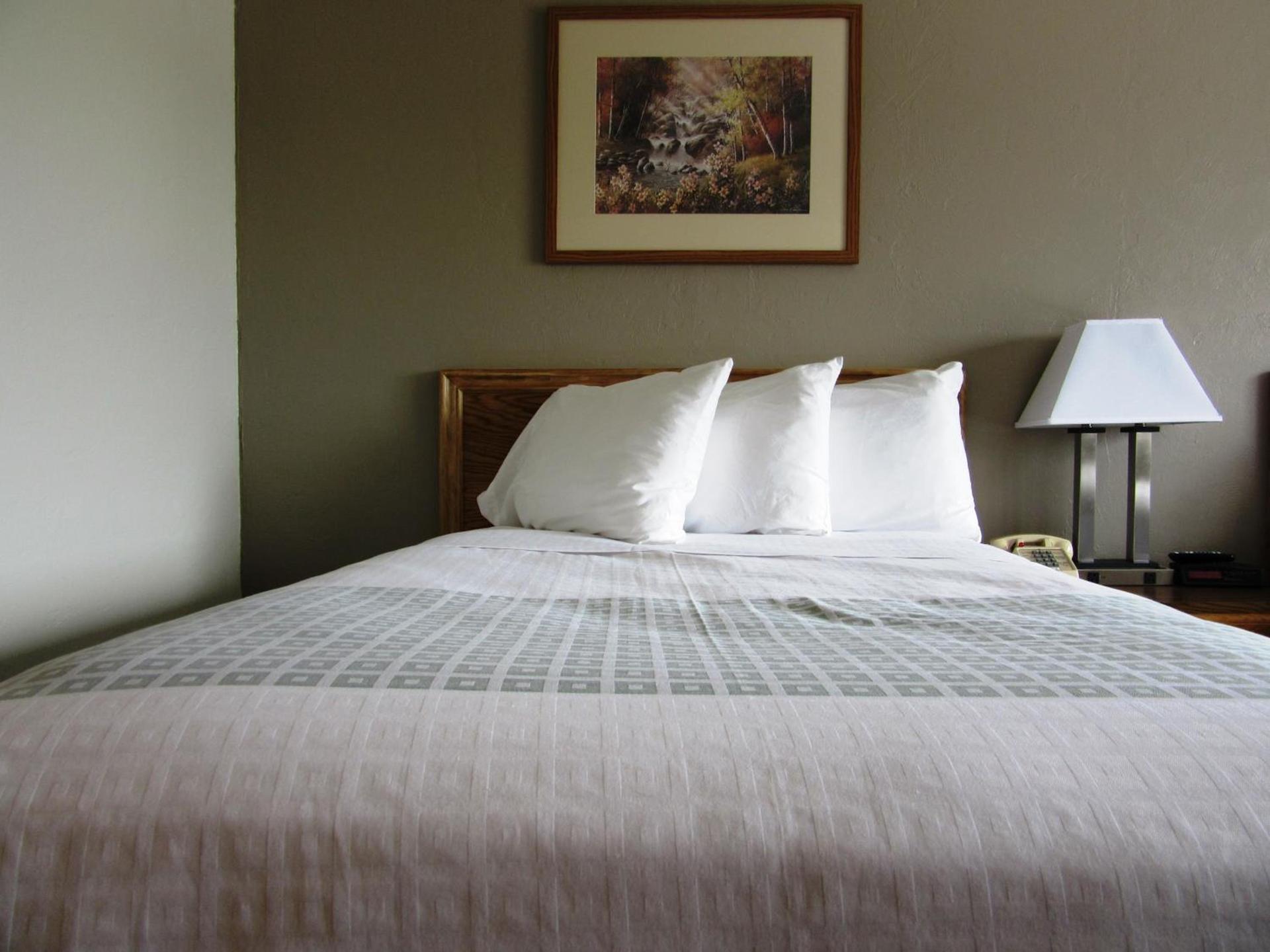 White Buffalo Hotel photo 16