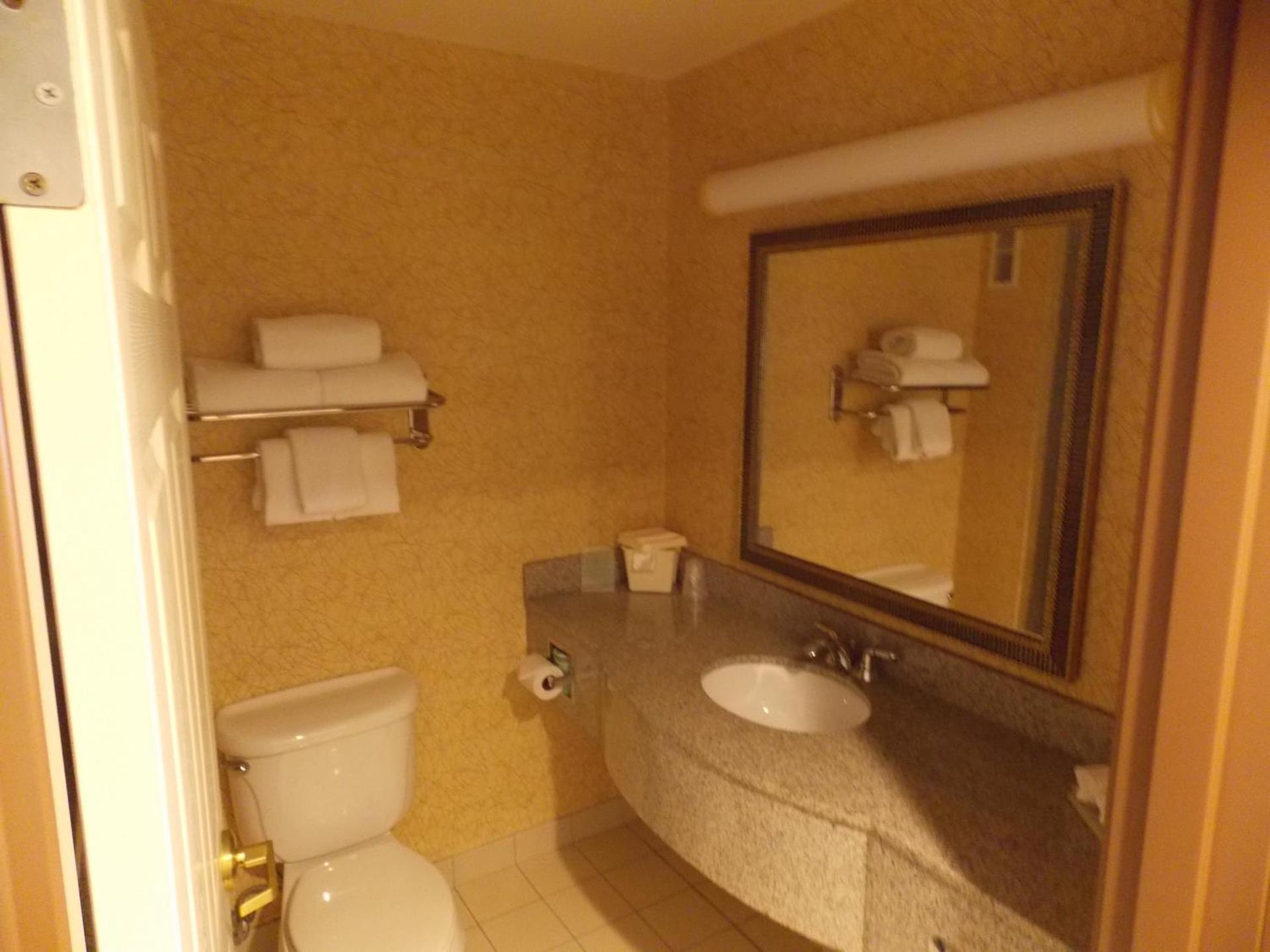 Holiday Inn Express Syracuse-Fairgrounds by IHG photo 14