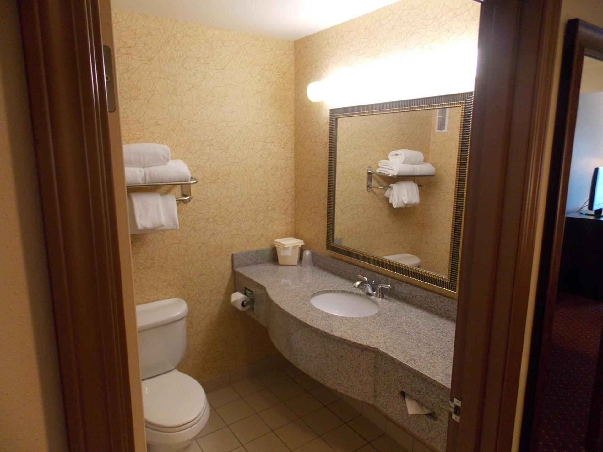 Holiday Inn Express Syracuse-Fairgrounds by IHG photo 13