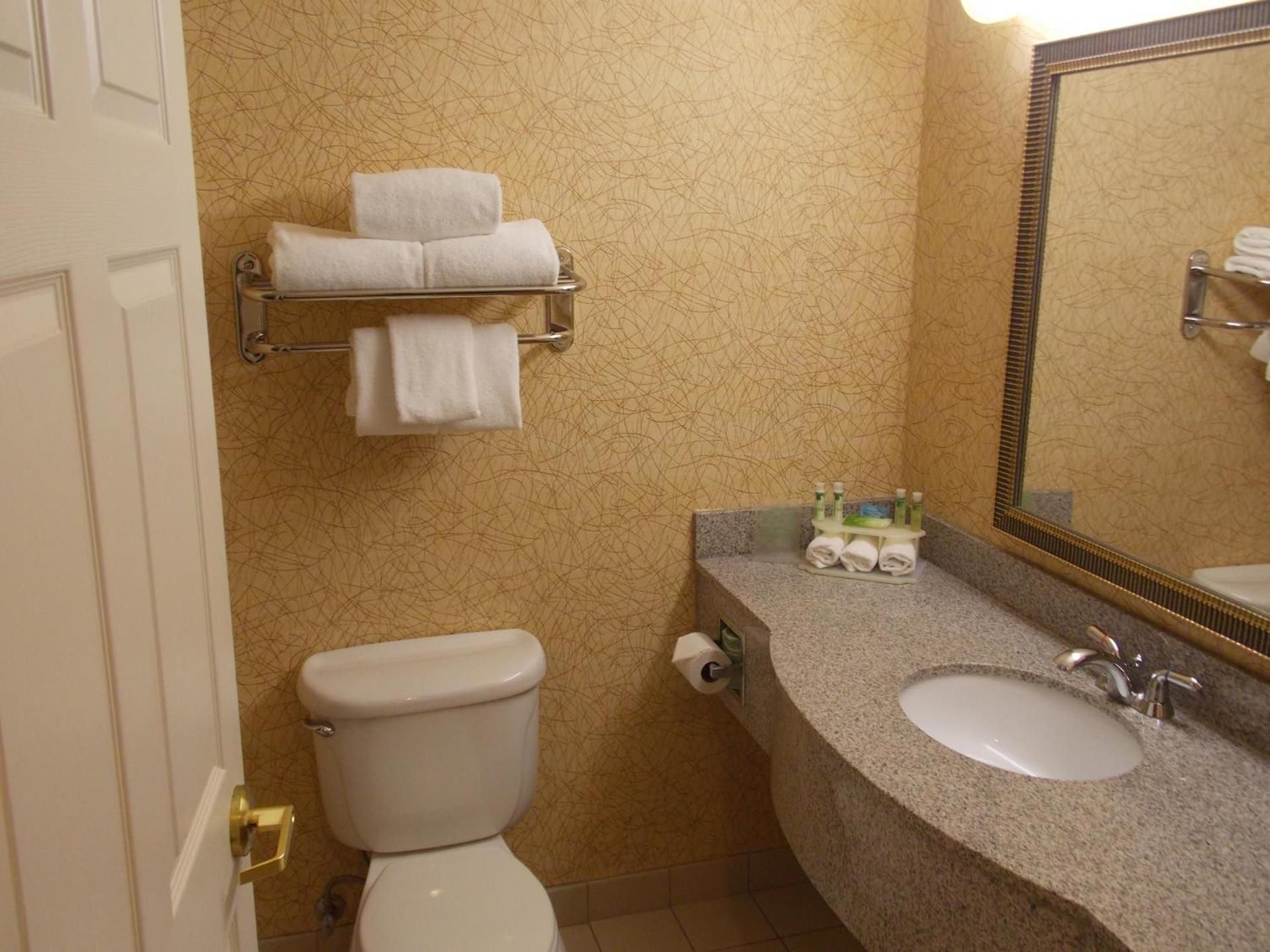 Holiday Inn Express Syracuse-Fairgrounds by IHG photo 12