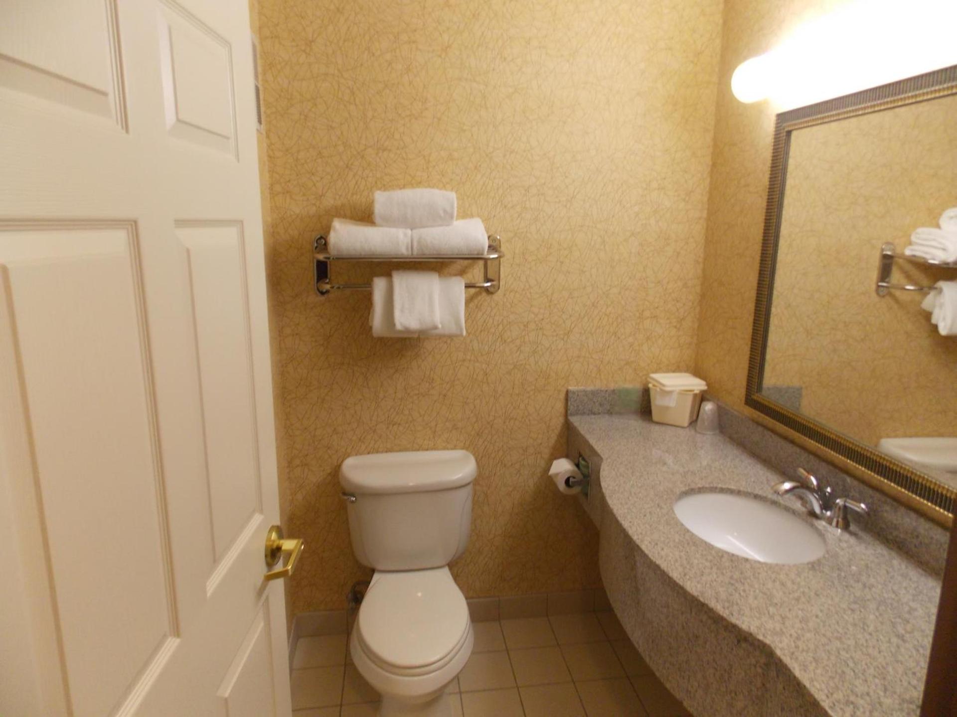Holiday Inn Express Syracuse-Fairgrounds by IHG photo 11