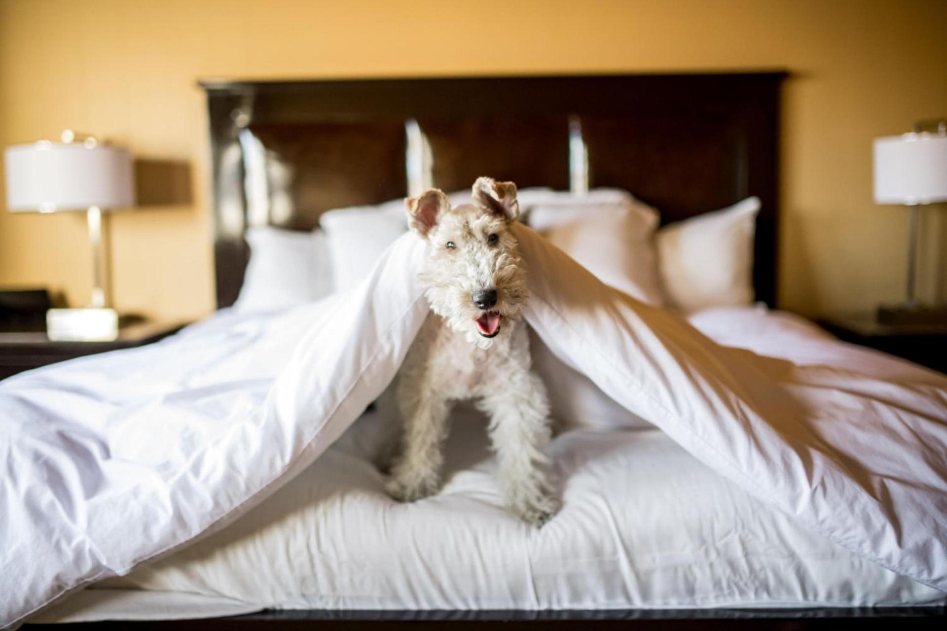Craddock Terry Hotel, Lynchburg, a Tribute Portfolio Hotel photo 14