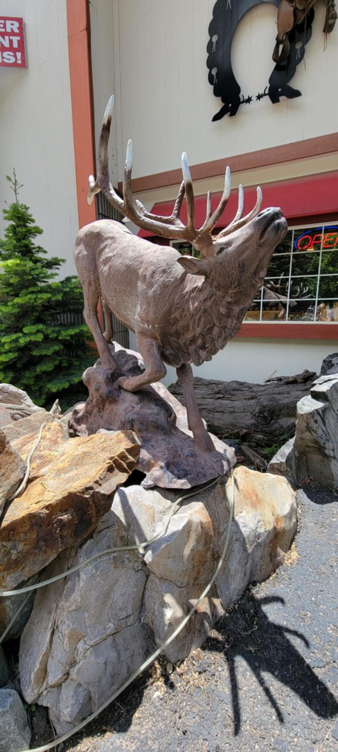 Hot Springs Inn photo 73