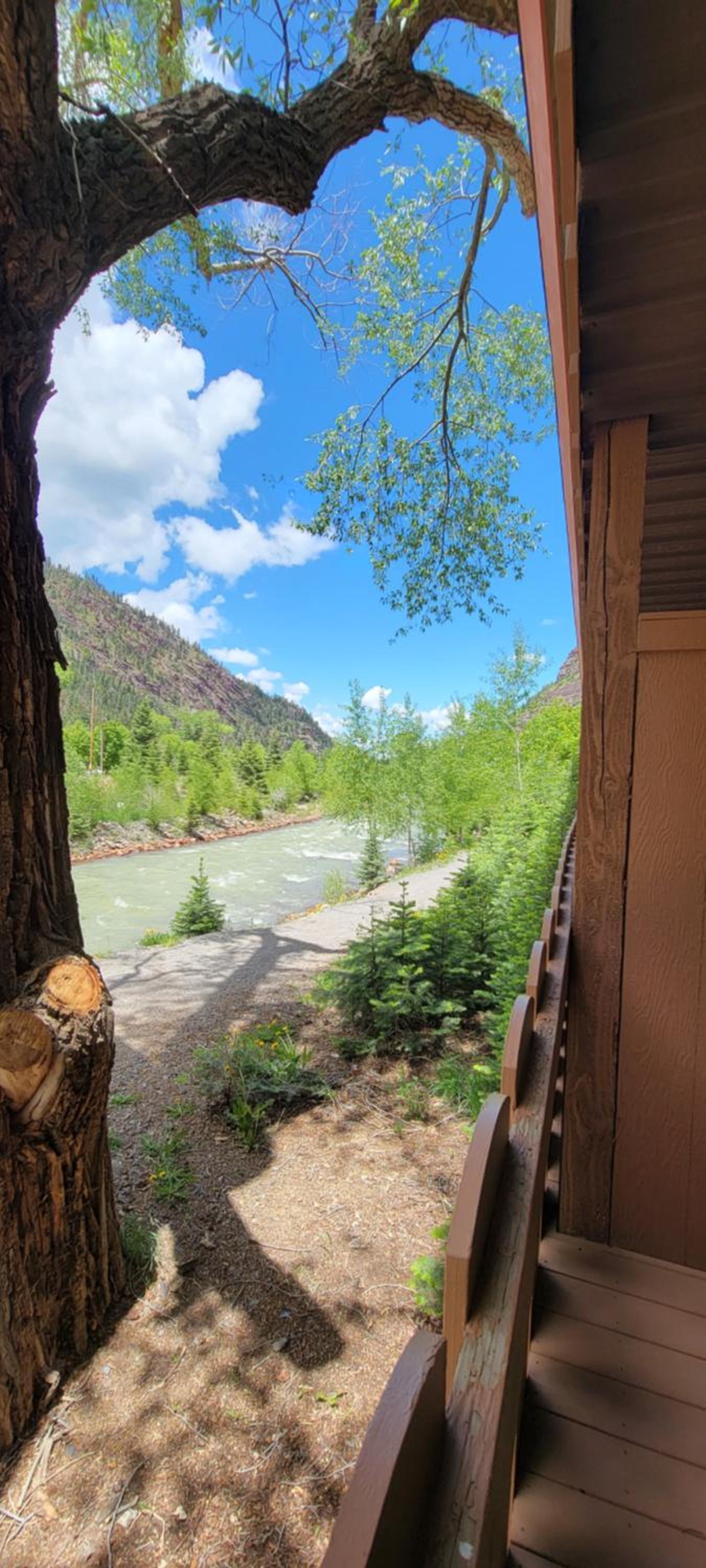 Hot Springs Inn photo 79