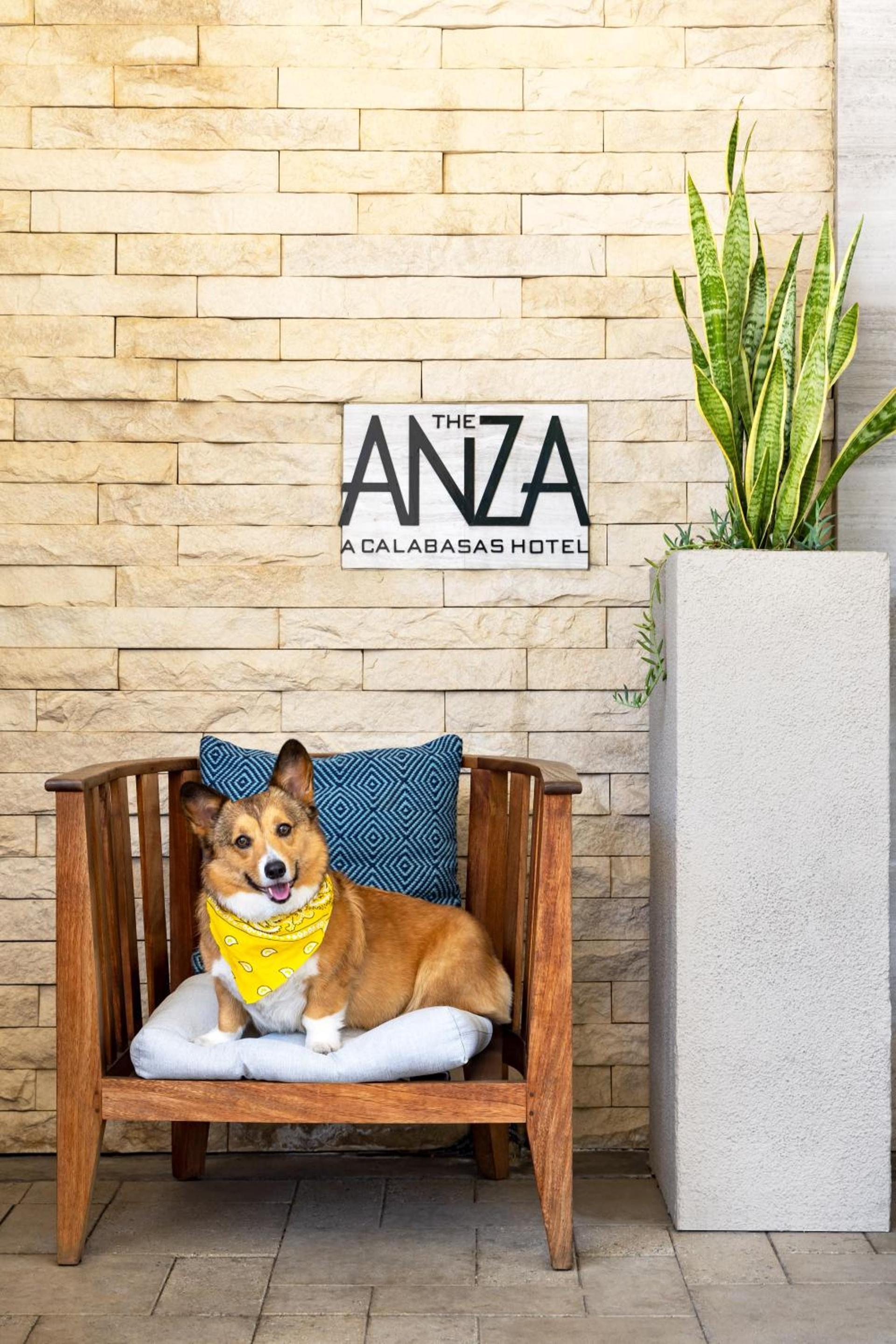 The Anza-a Calabasas Hotel photo 55