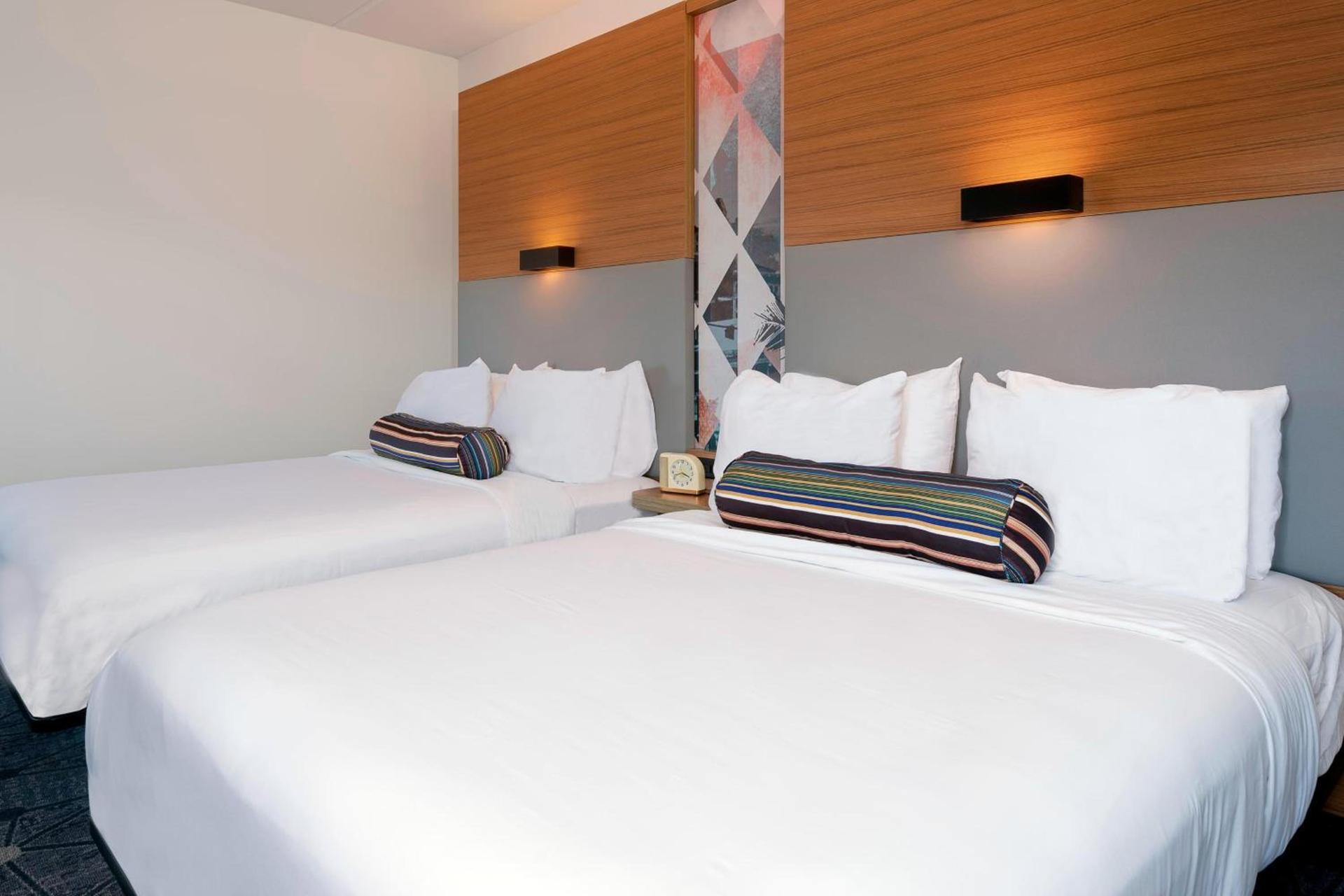 Aloft by Marriott Jacksonville Airport photo 11
