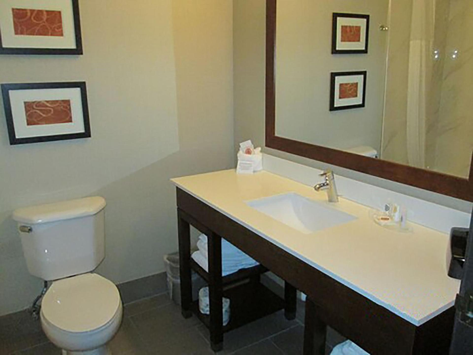 Comfort Suites Fort Wayne North photo 28