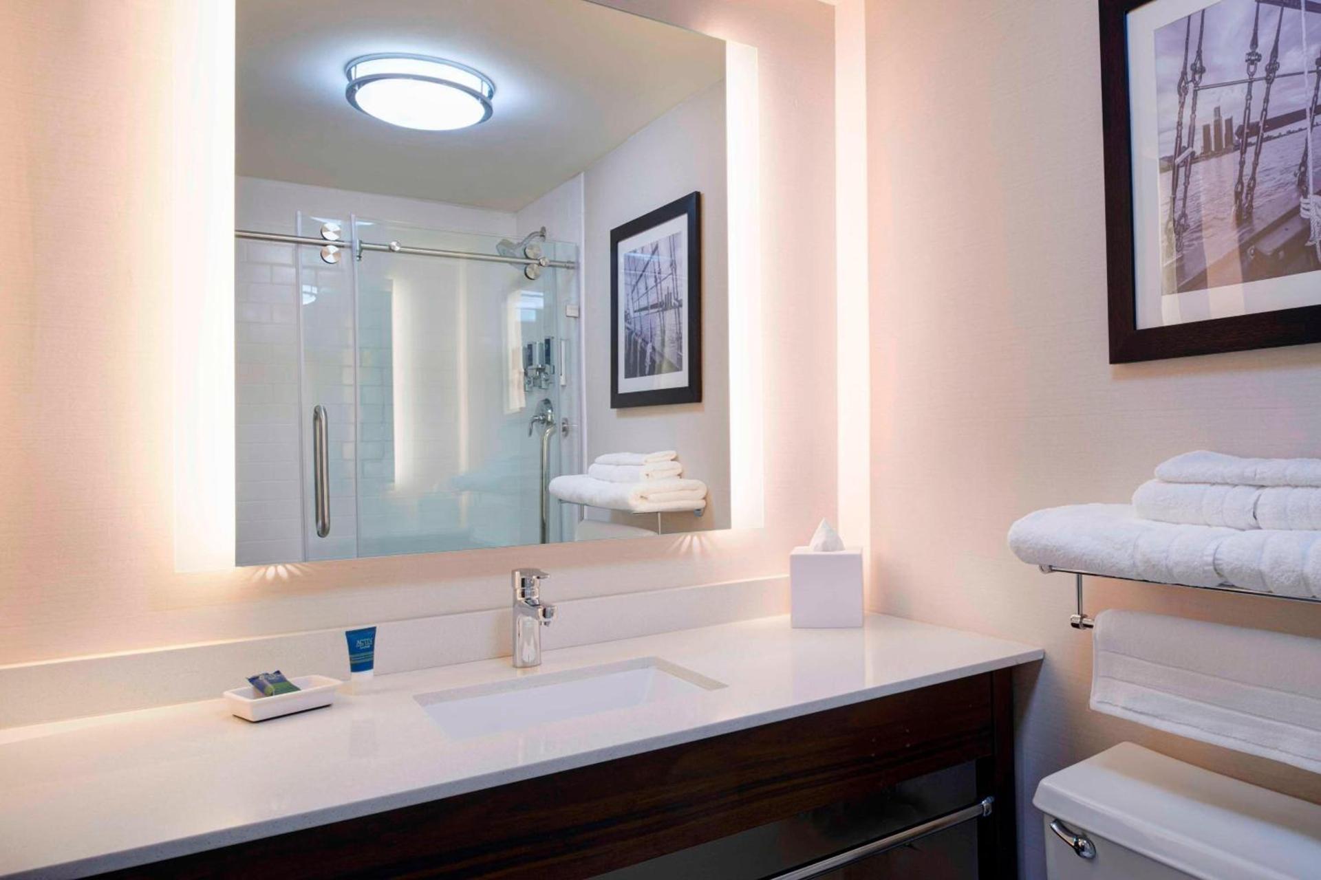 Four Points by Sheraton Detroit Novi photo 9