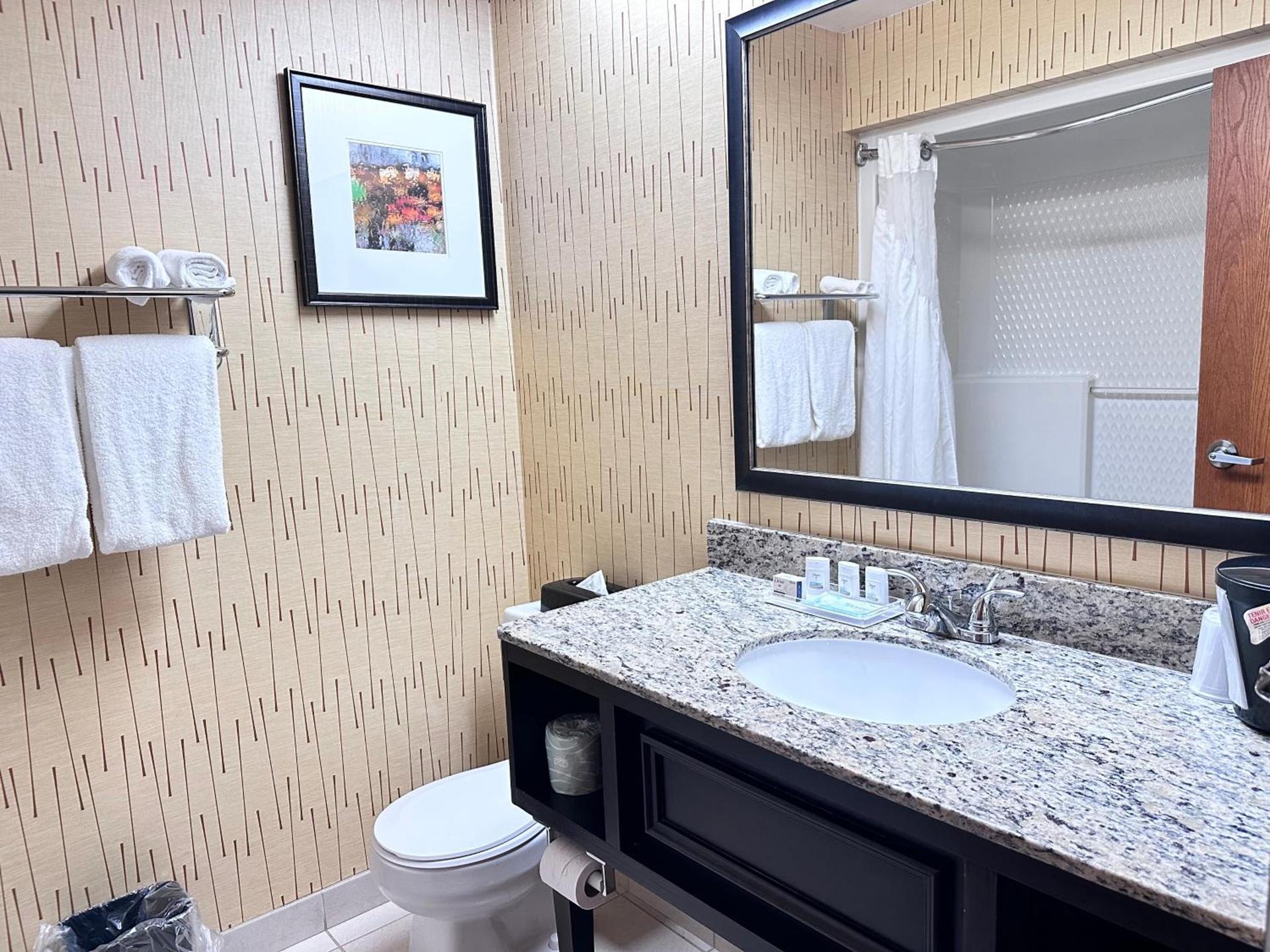 Holiday Inn Express Big Rapids by IHG photo 11