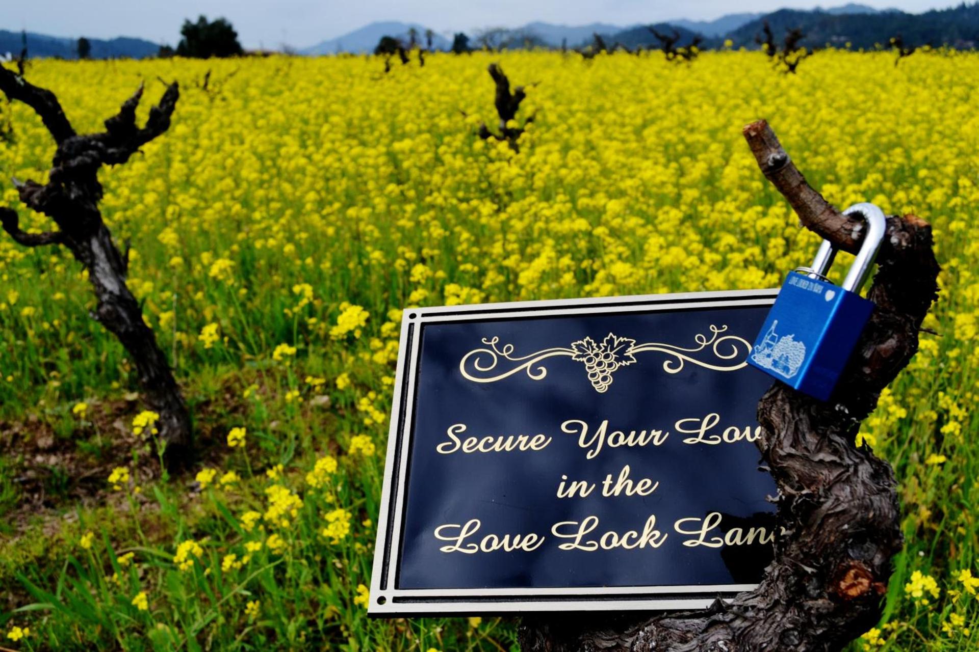 Chardonnay Lodge photo 61