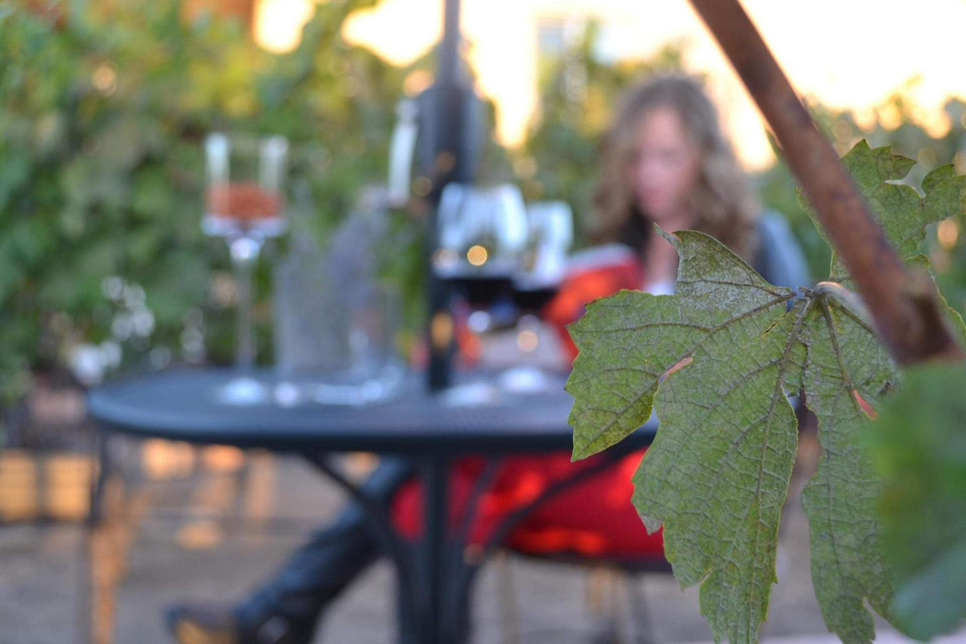 Chardonnay Lodge photo 52