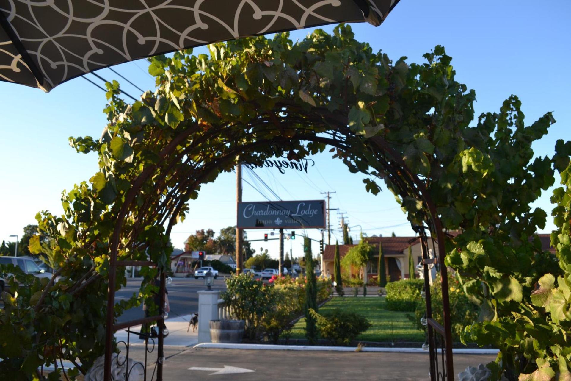 Chardonnay Lodge photo 63