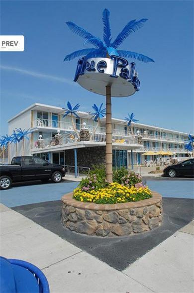 Blue Palms Resort photo 1