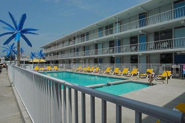 Blue Palms Resort photo 67