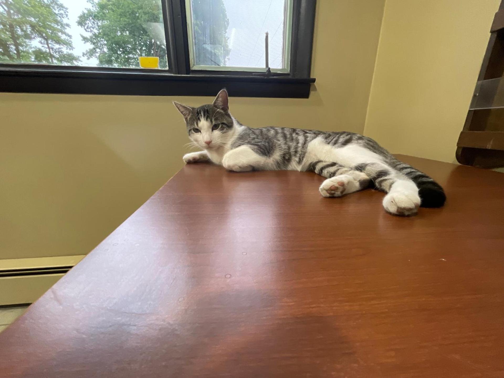 Pennswoods Inn photo 16