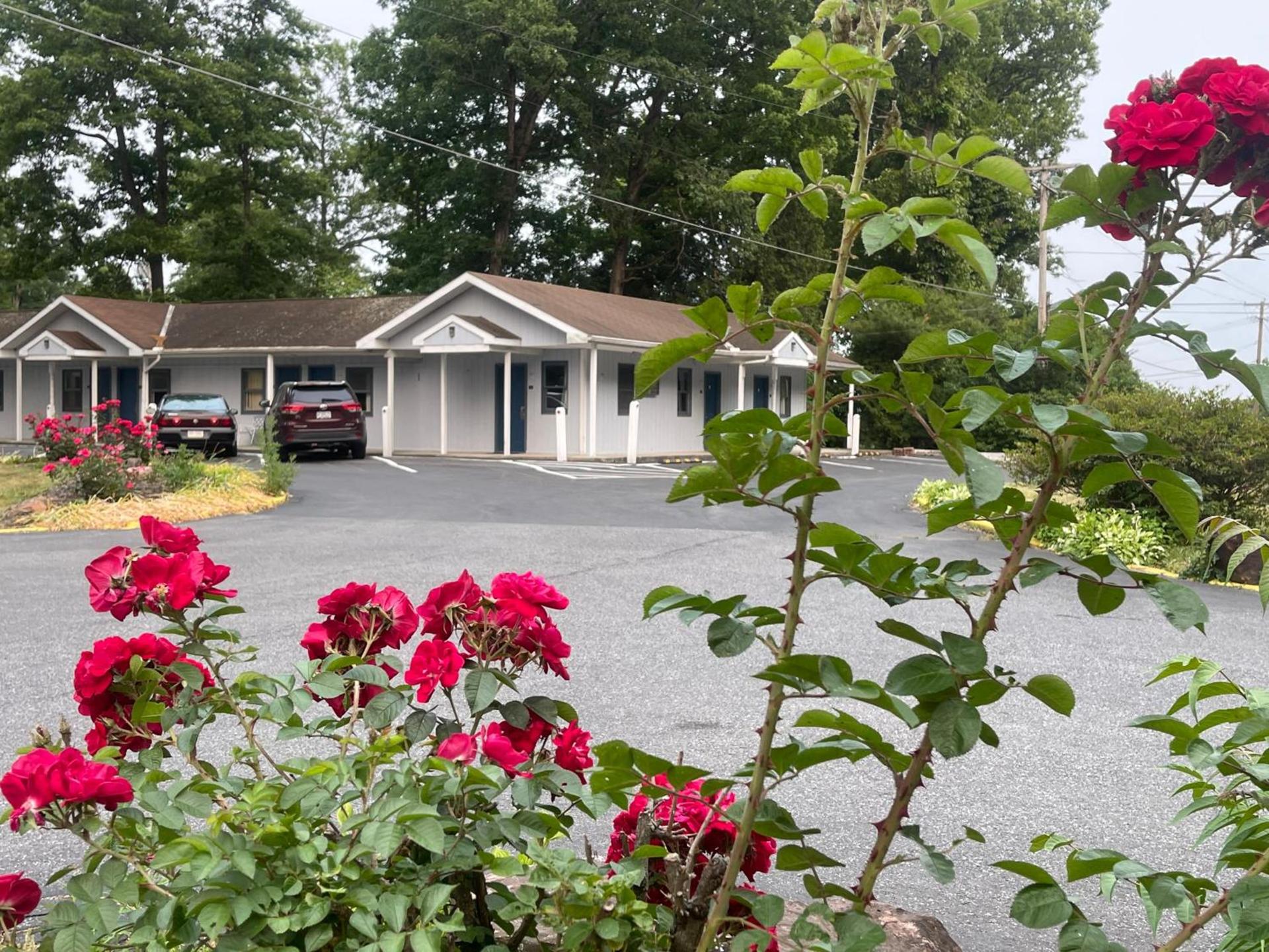 Pennswoods Inn photo 36