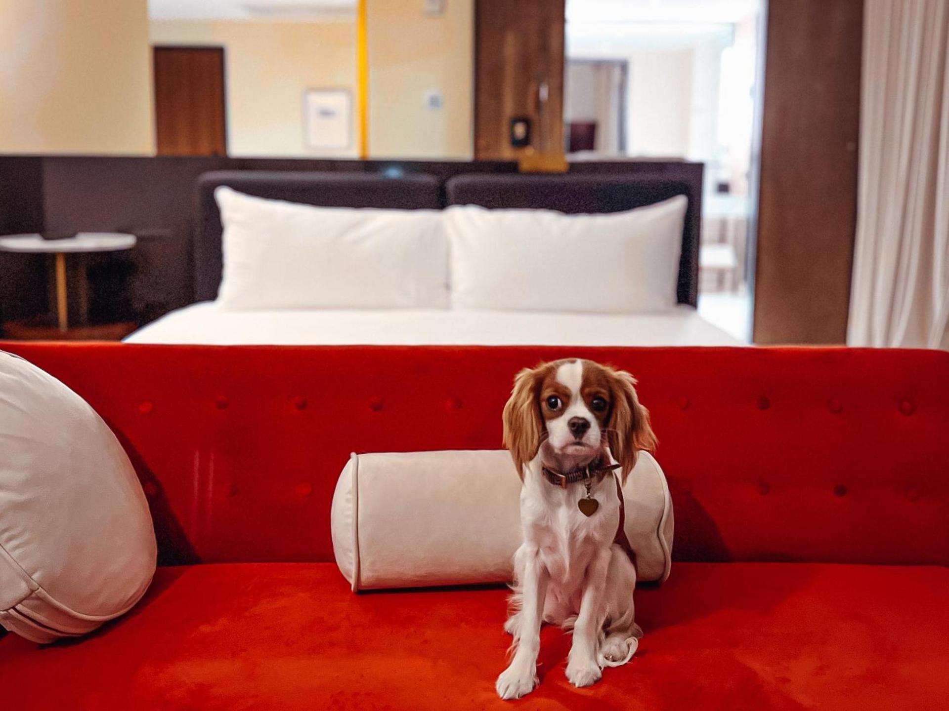 Hotel Haya photo 53