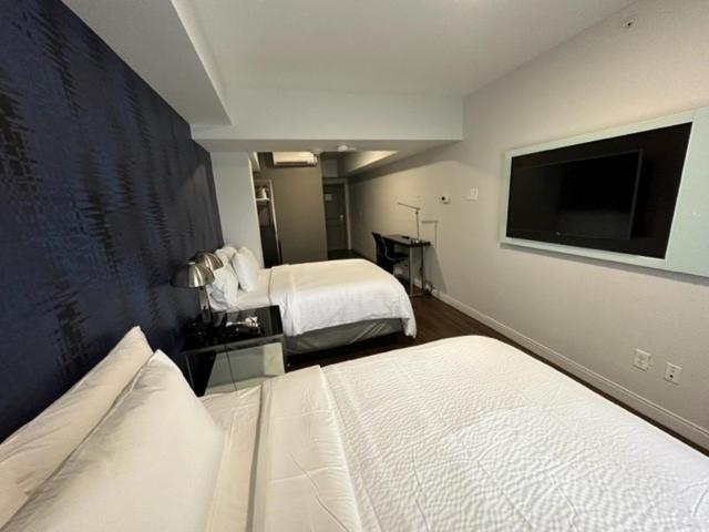 Holiday Inn Express - Dallas Downtown by IHG photo 83