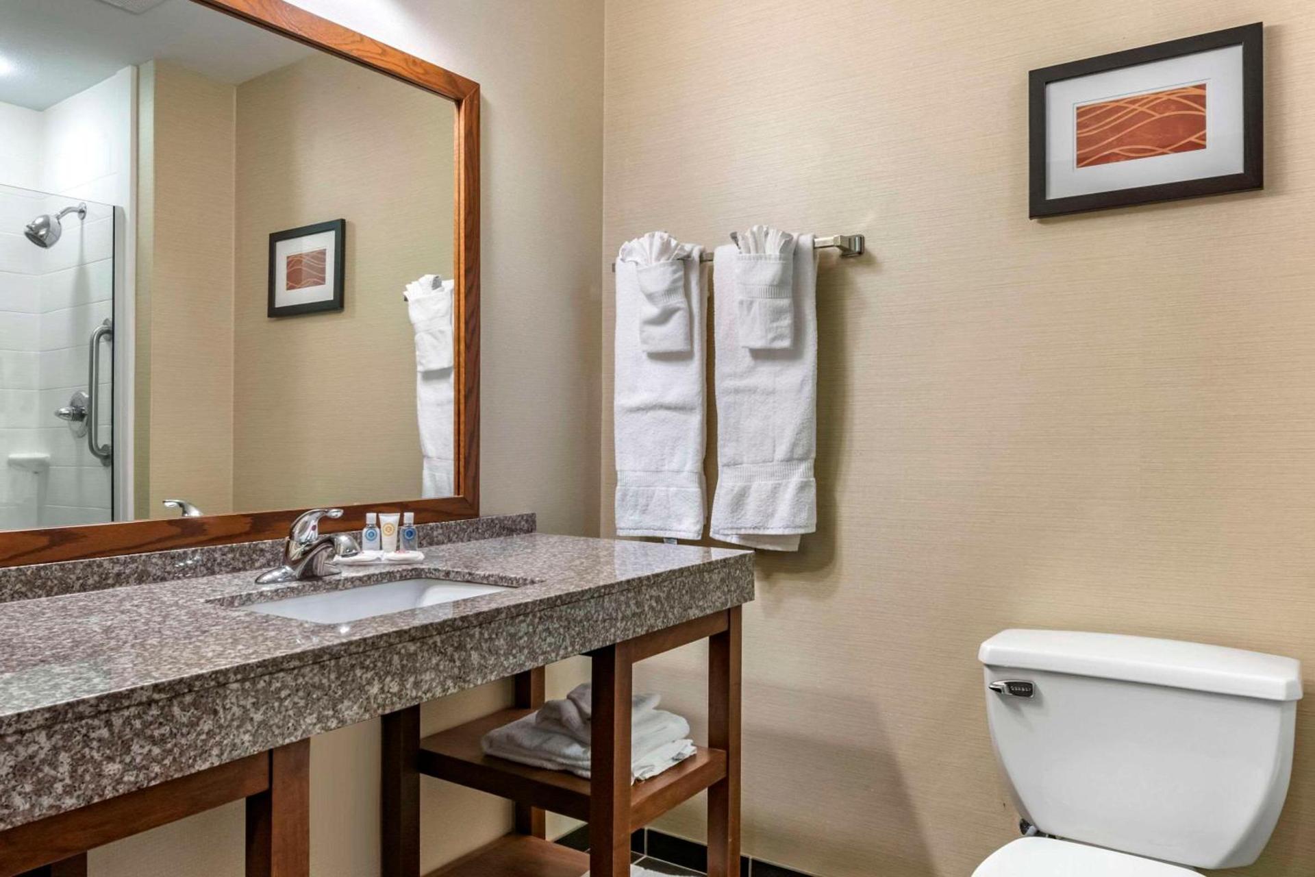 Comfort Inn Williamsport photo 20