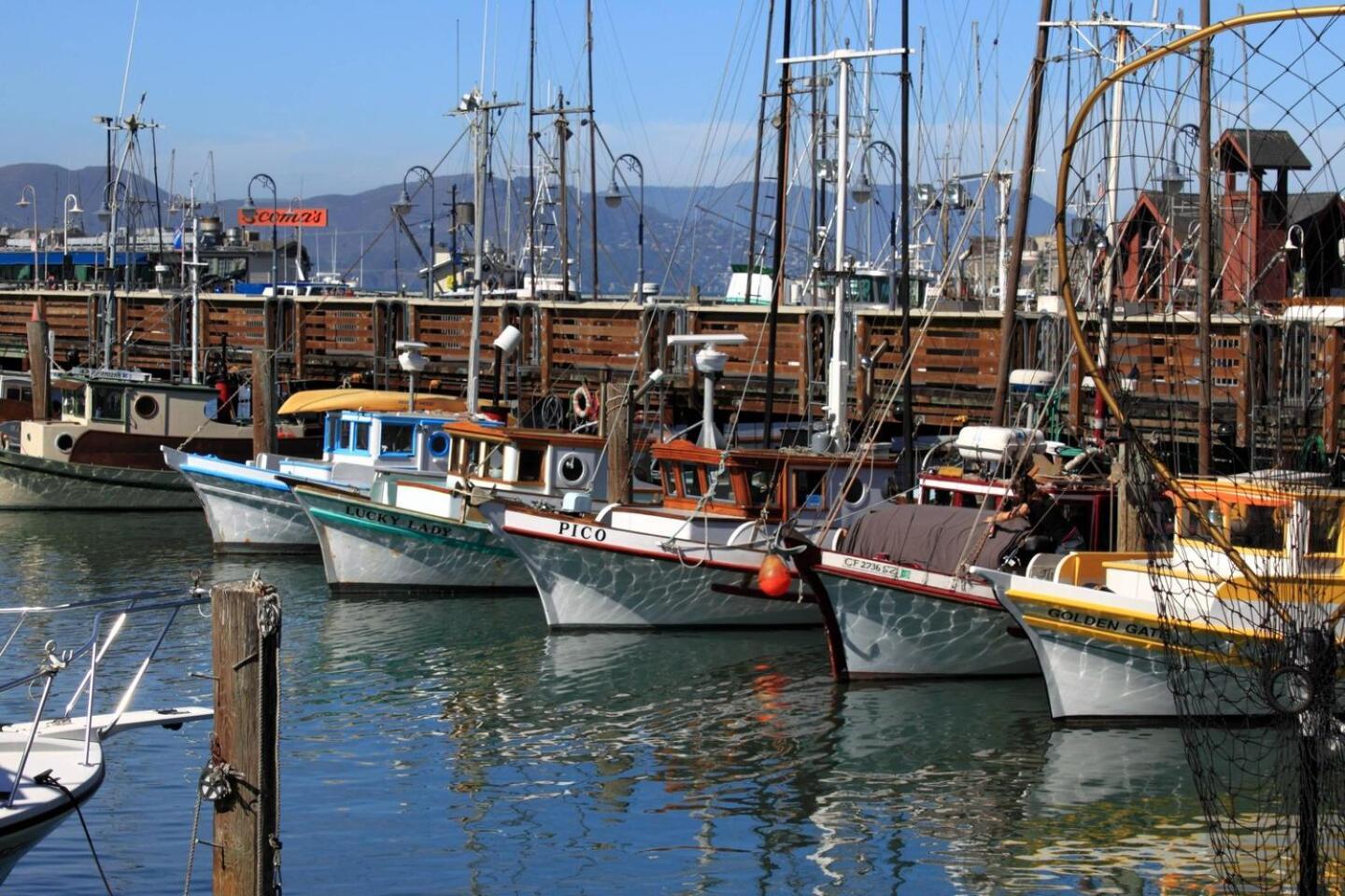 Courtyard by Marriott Fishermans Wharf photo 3