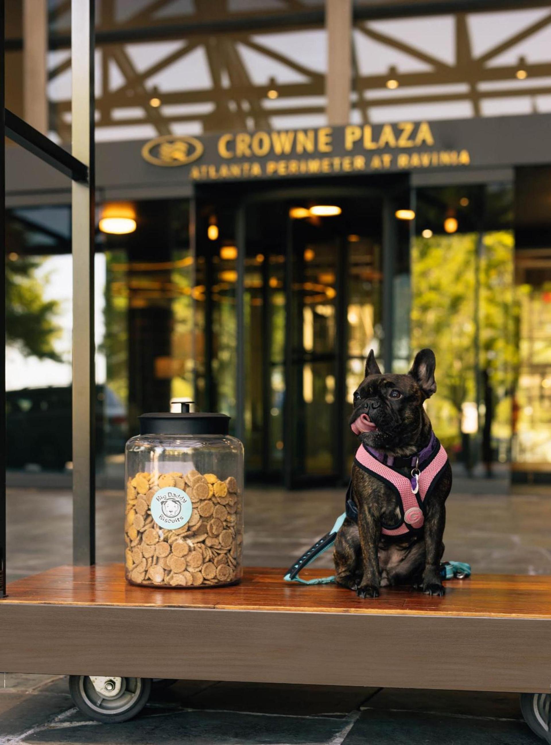 Crowne Plaza Atlanta Perimeter at Ravinia by IHG photo 87