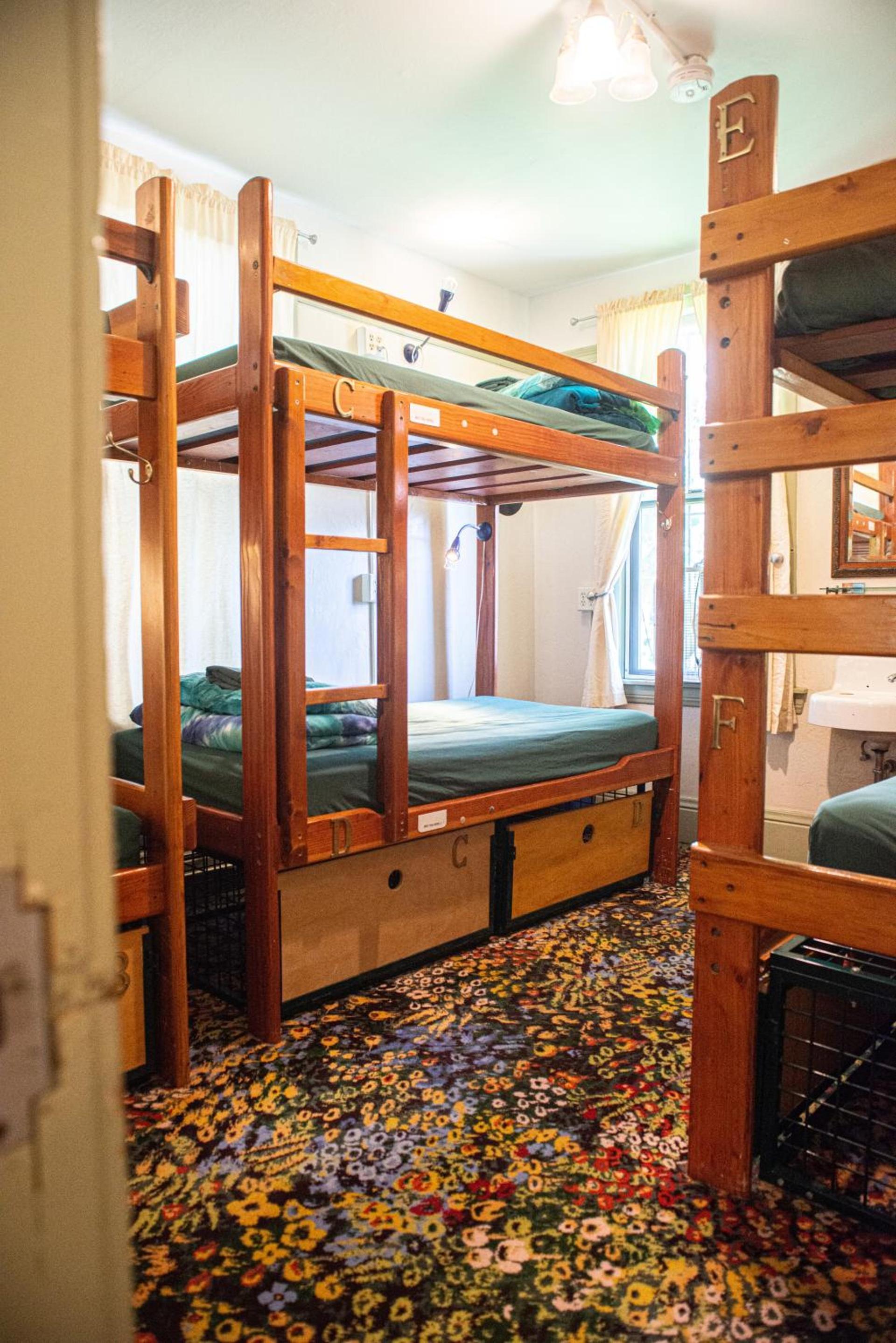 Green Tortoise Hostel photo 21