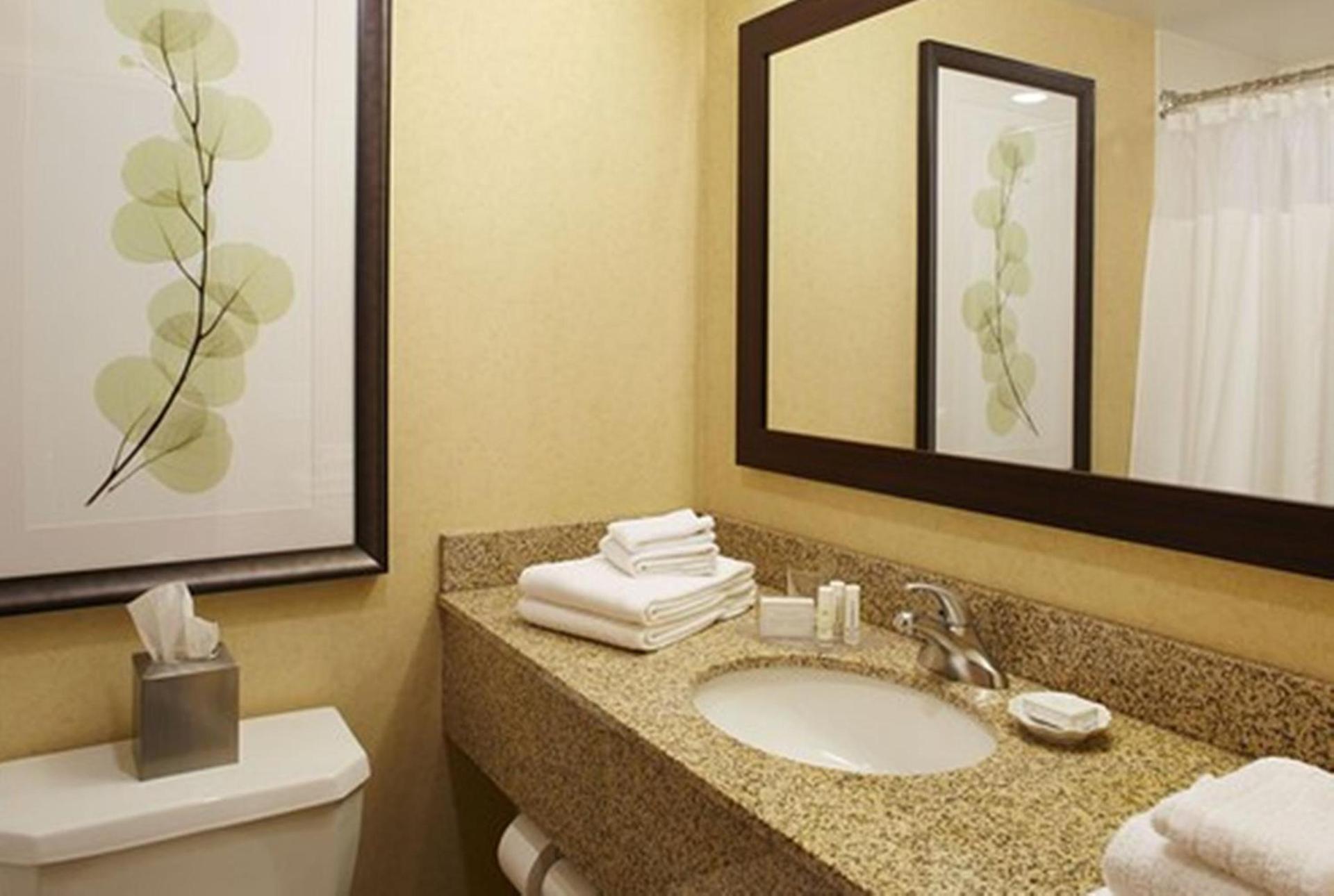Courtyard by Marriott Buffalo Amherst/University photo 2